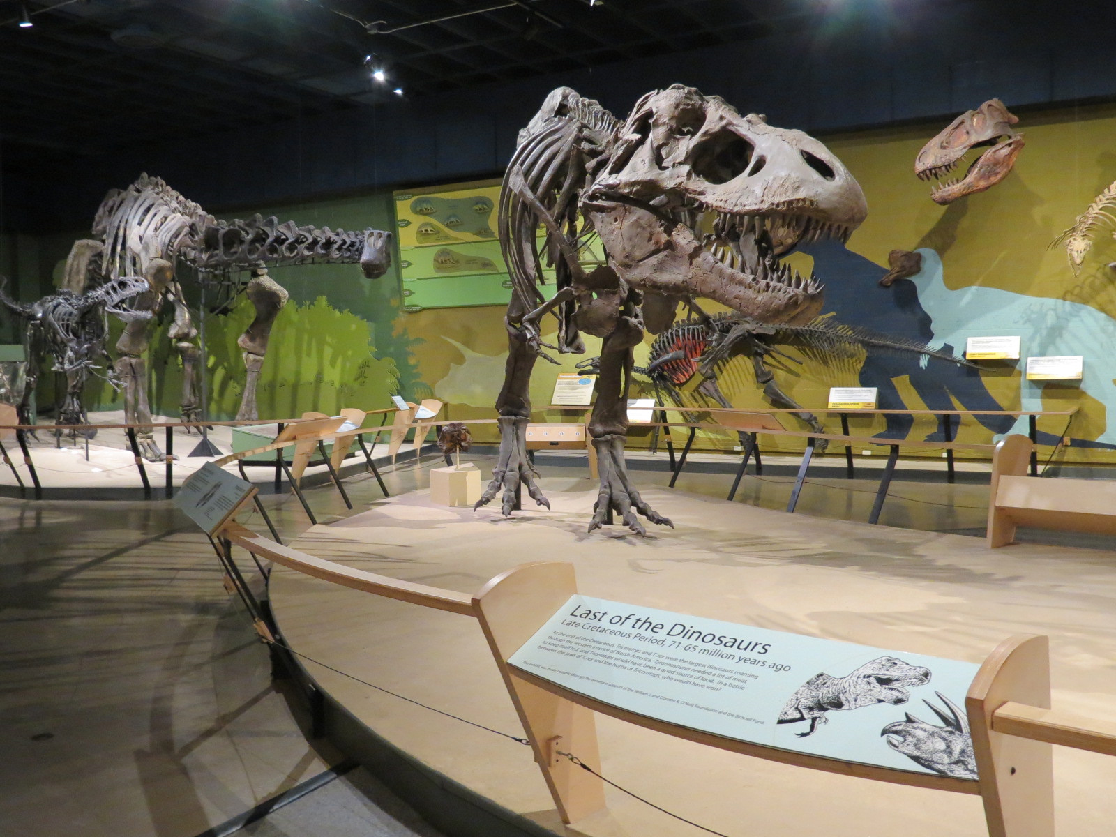 Kirtland Hall of Prehistoric Life