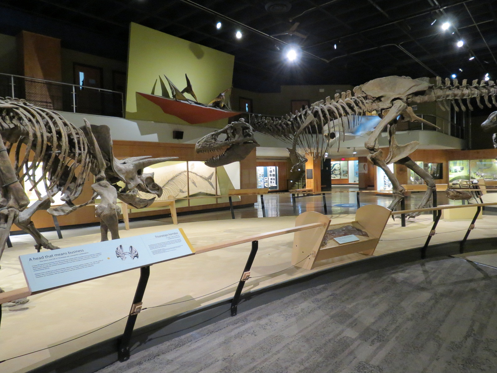 Kirtland Hall of Prehistoric Life