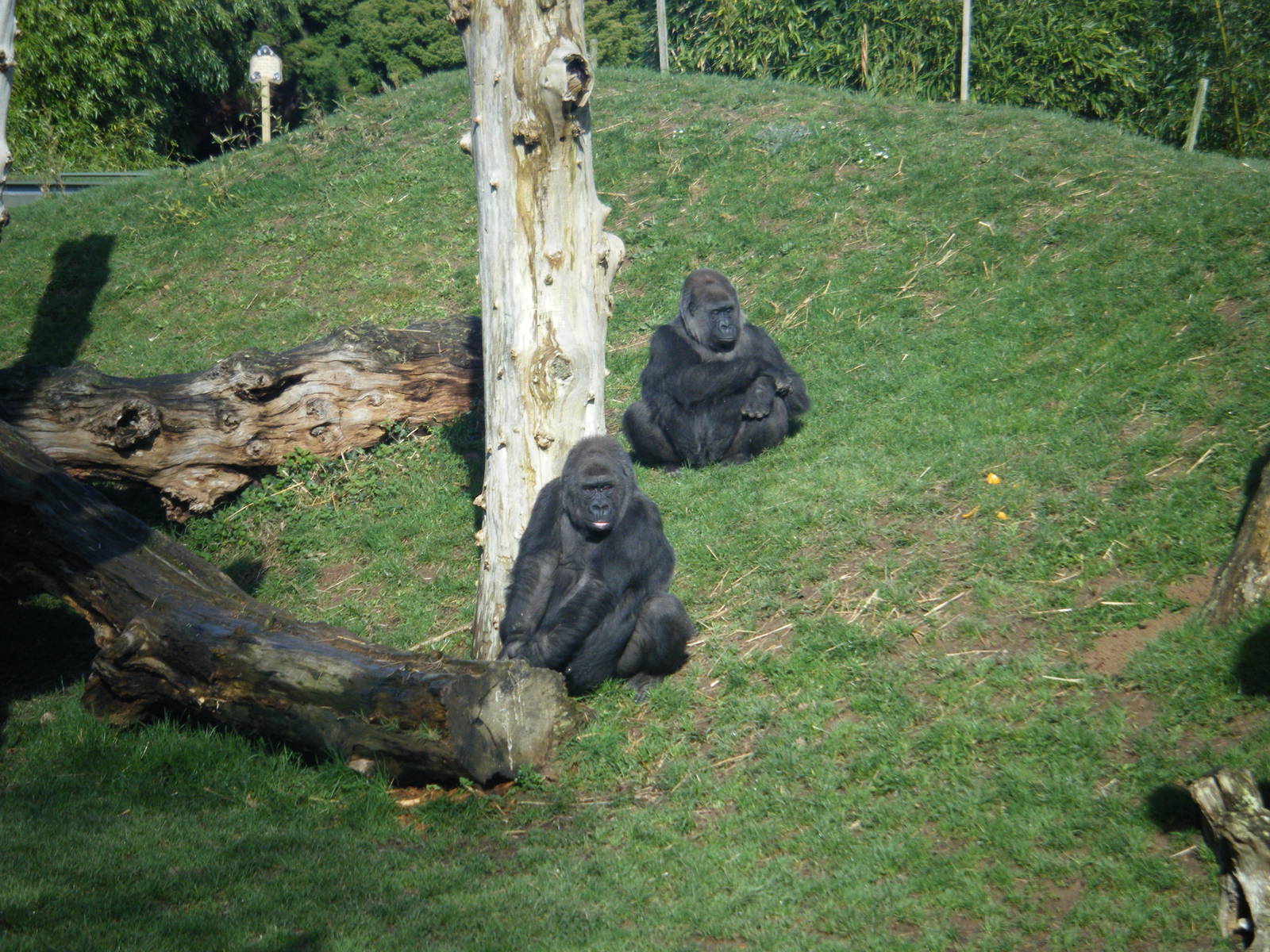 Kishka and daughter Sakina