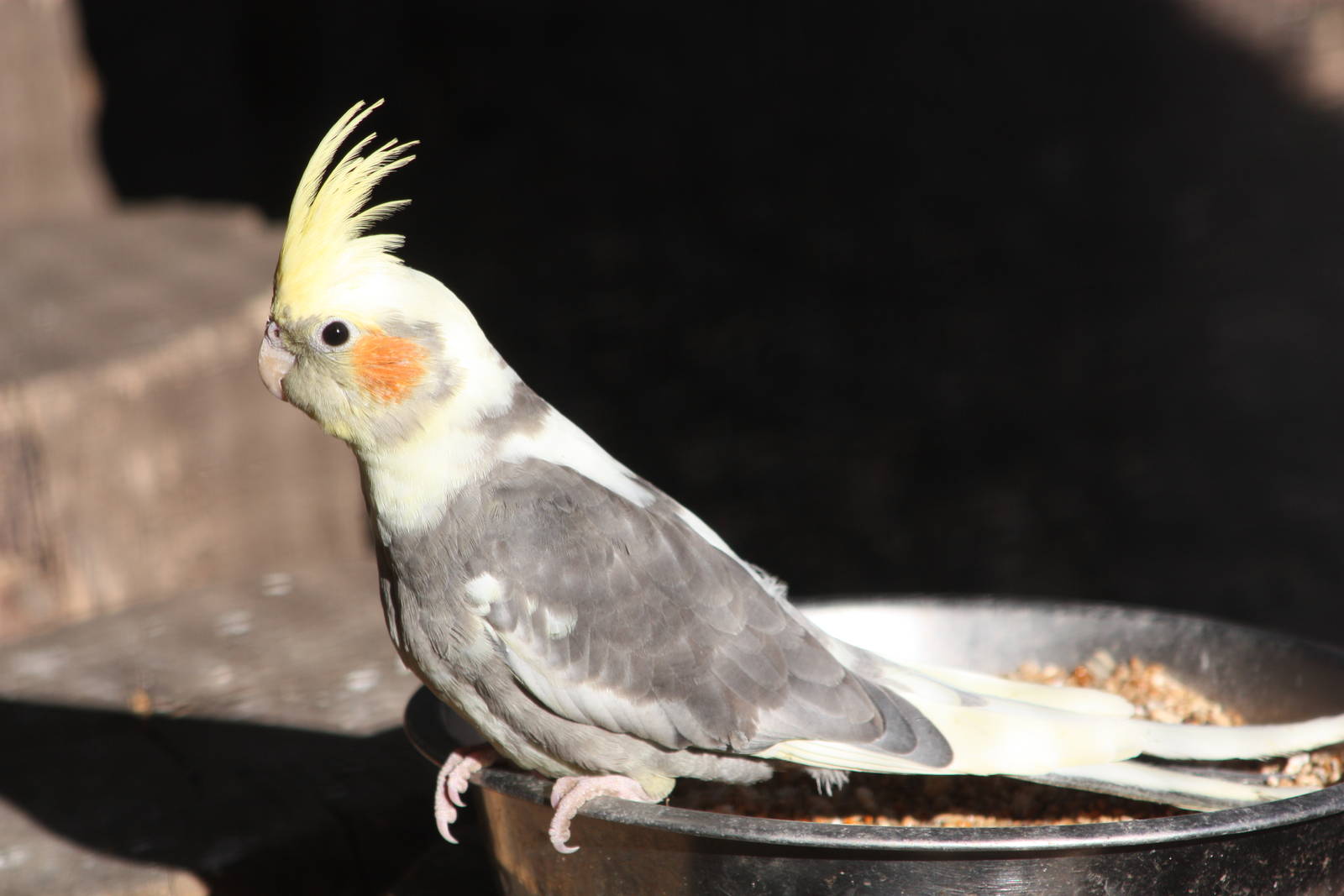 Kissed by the sun, 30th August 2014