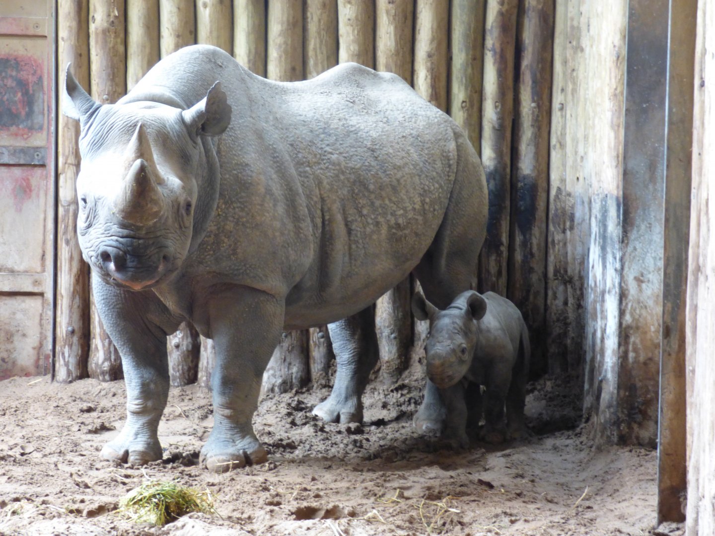 Kitani and 13 day old daughter