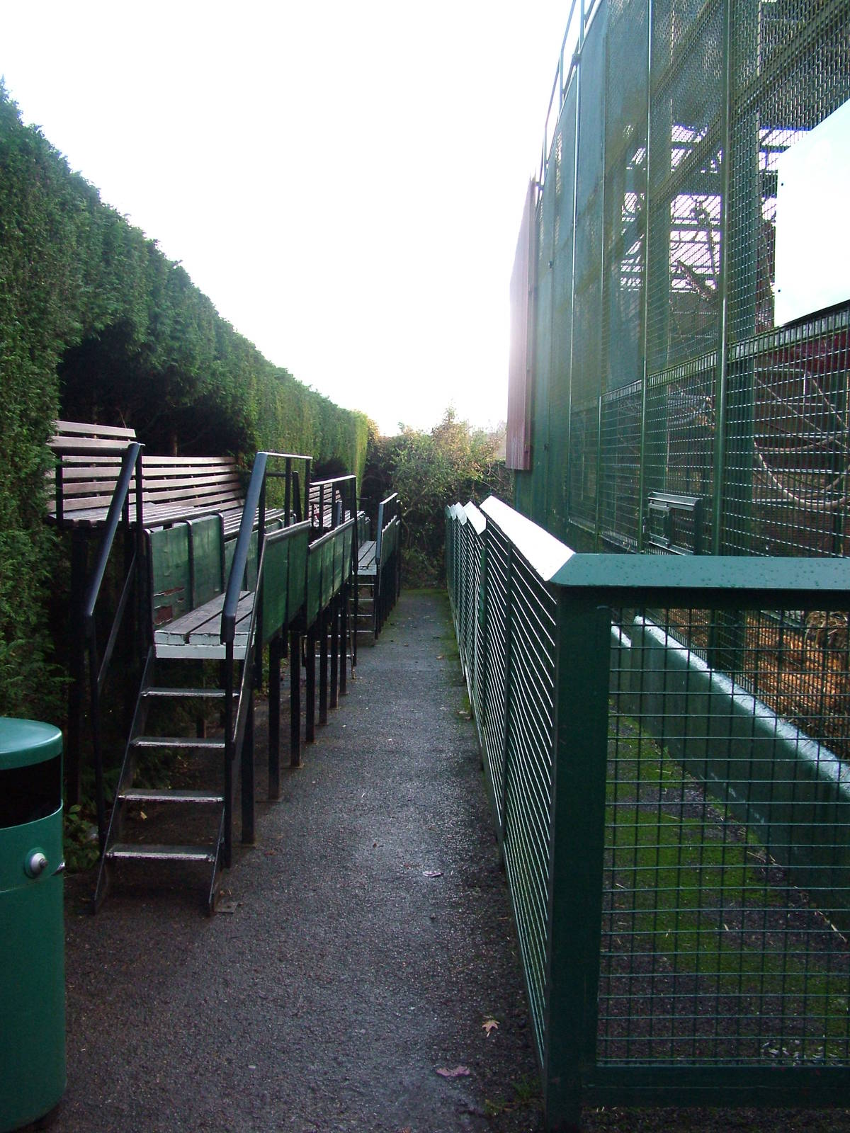Kitchen Garden gorilla cages at Howletts 26/11/09