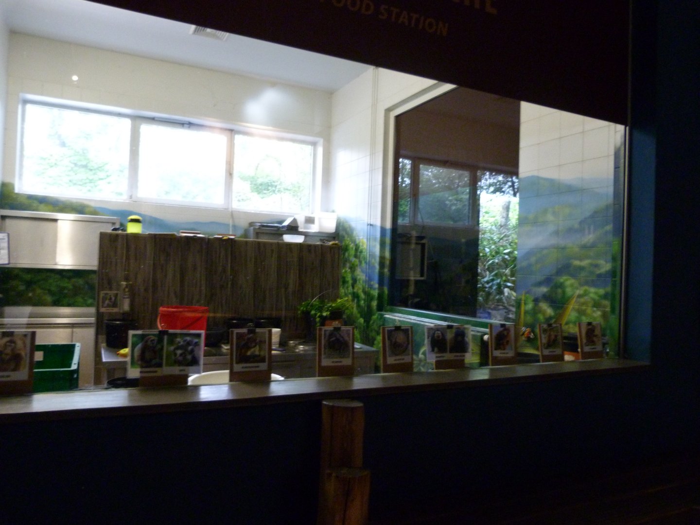 Kitchen -Tierpark Berlin (2024)