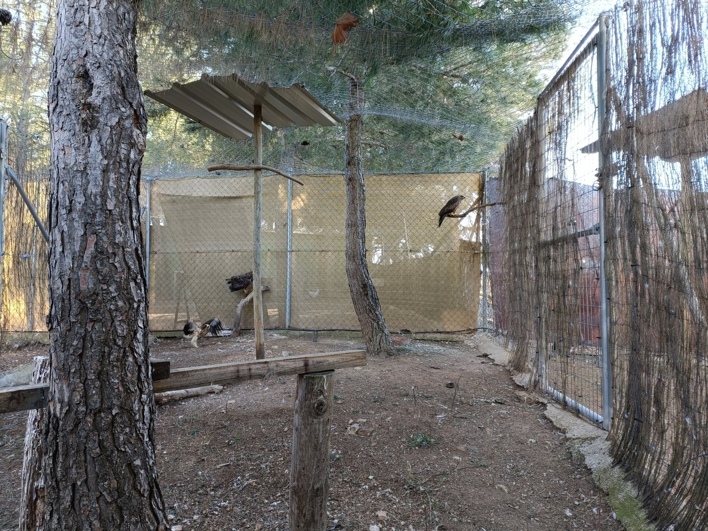 Kite exhibit - Bioparque La Rocha