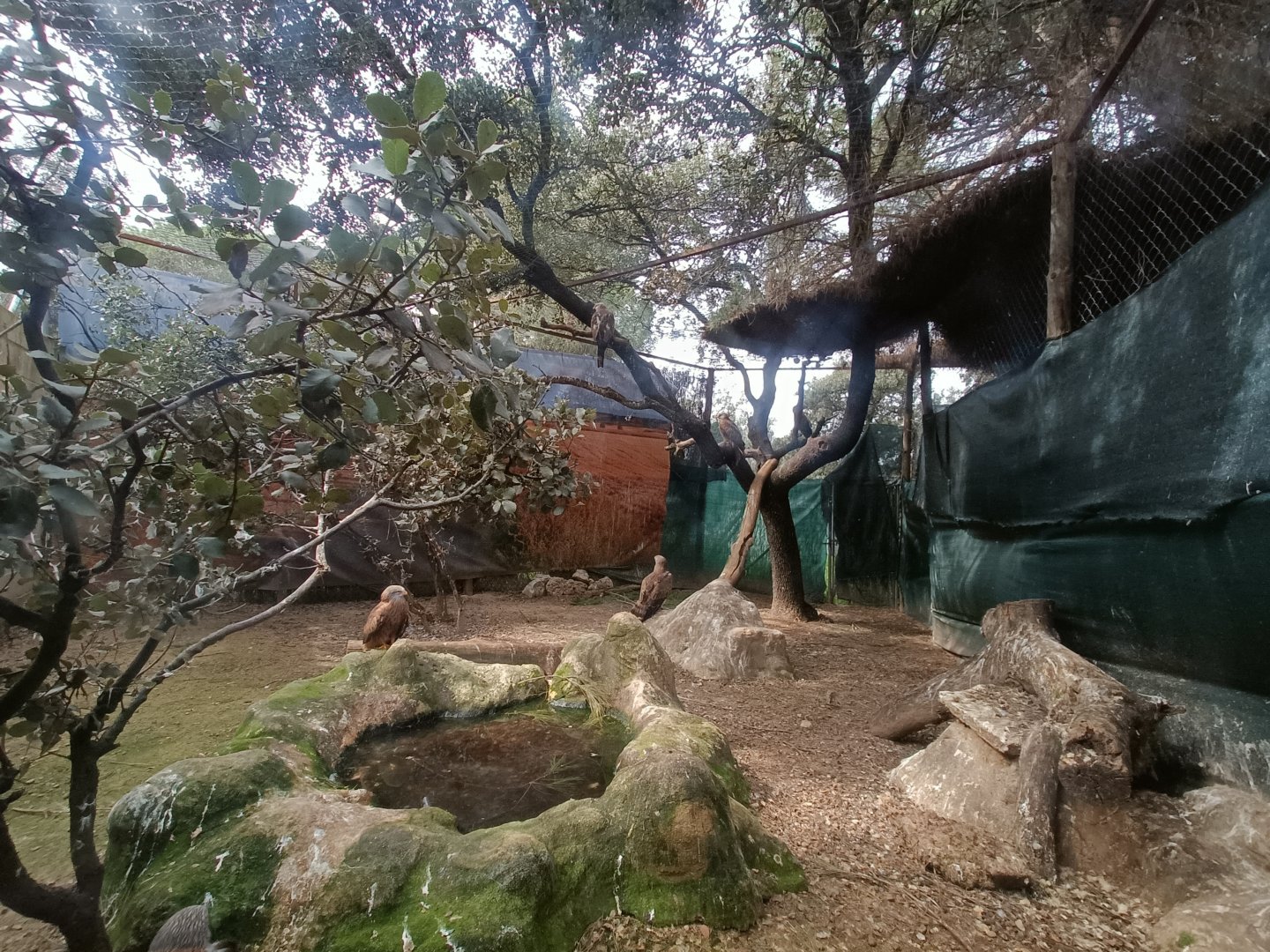 Kite exhibit - GREFA