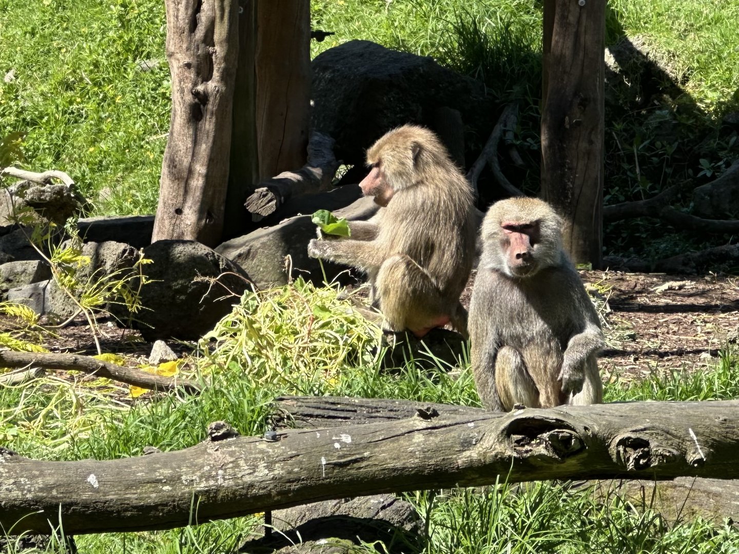 Kito and Naeemah (Mother and Daughter)