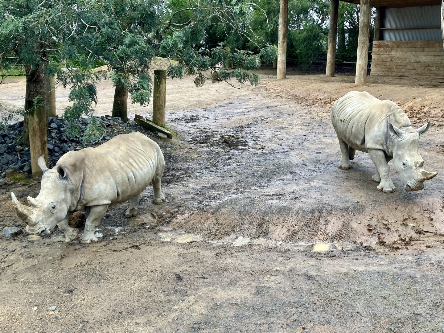 Kito and Zahra (Mother and Daughter)