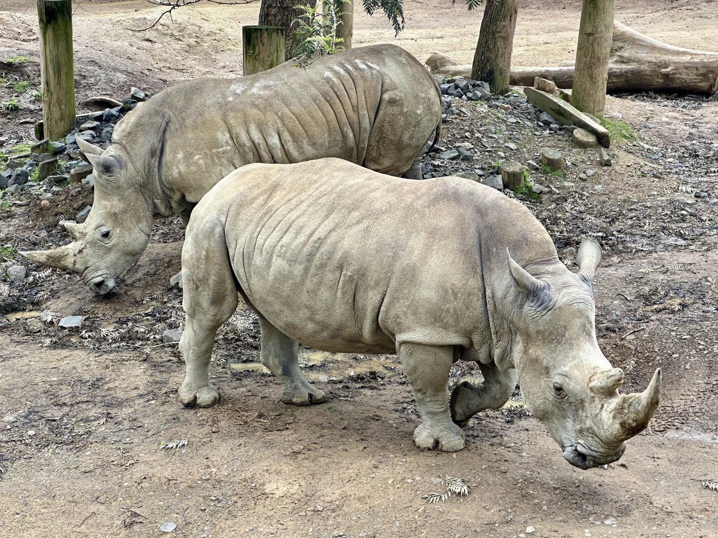 Kito and Zahra (Mother and Daughter)