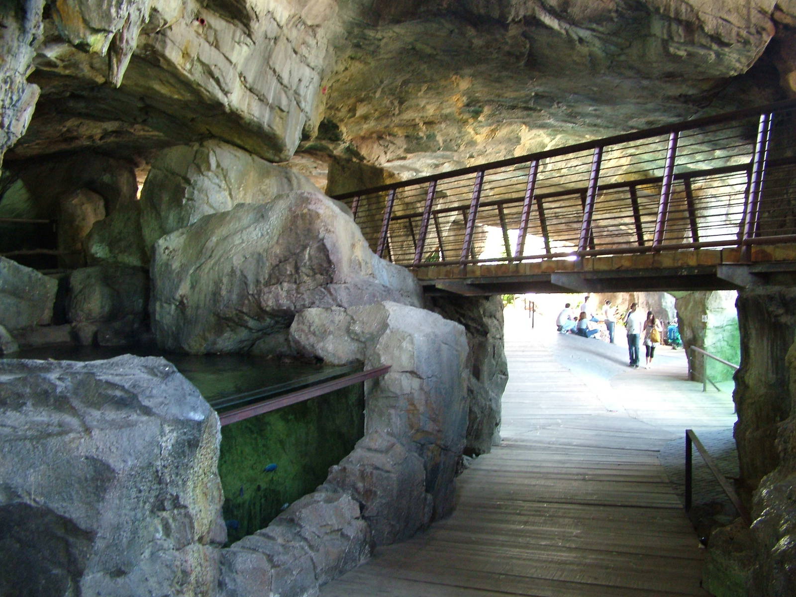 Kitum Cave at Bioparc Valencia, 28/05/11