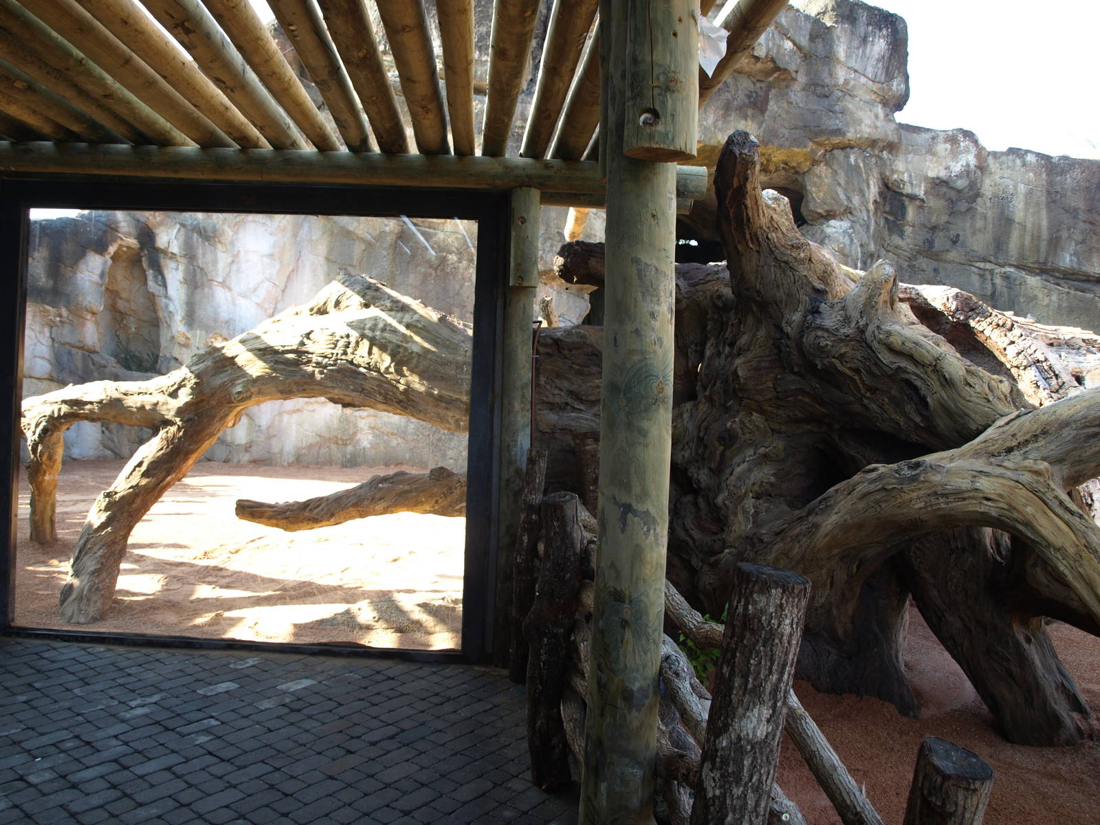 Kitum cave pre-opening