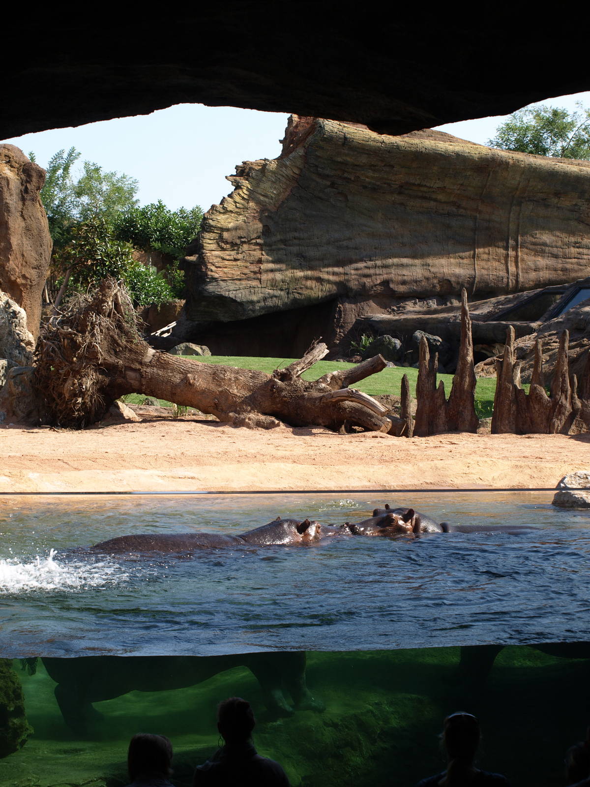 Kitum cave pre-opening