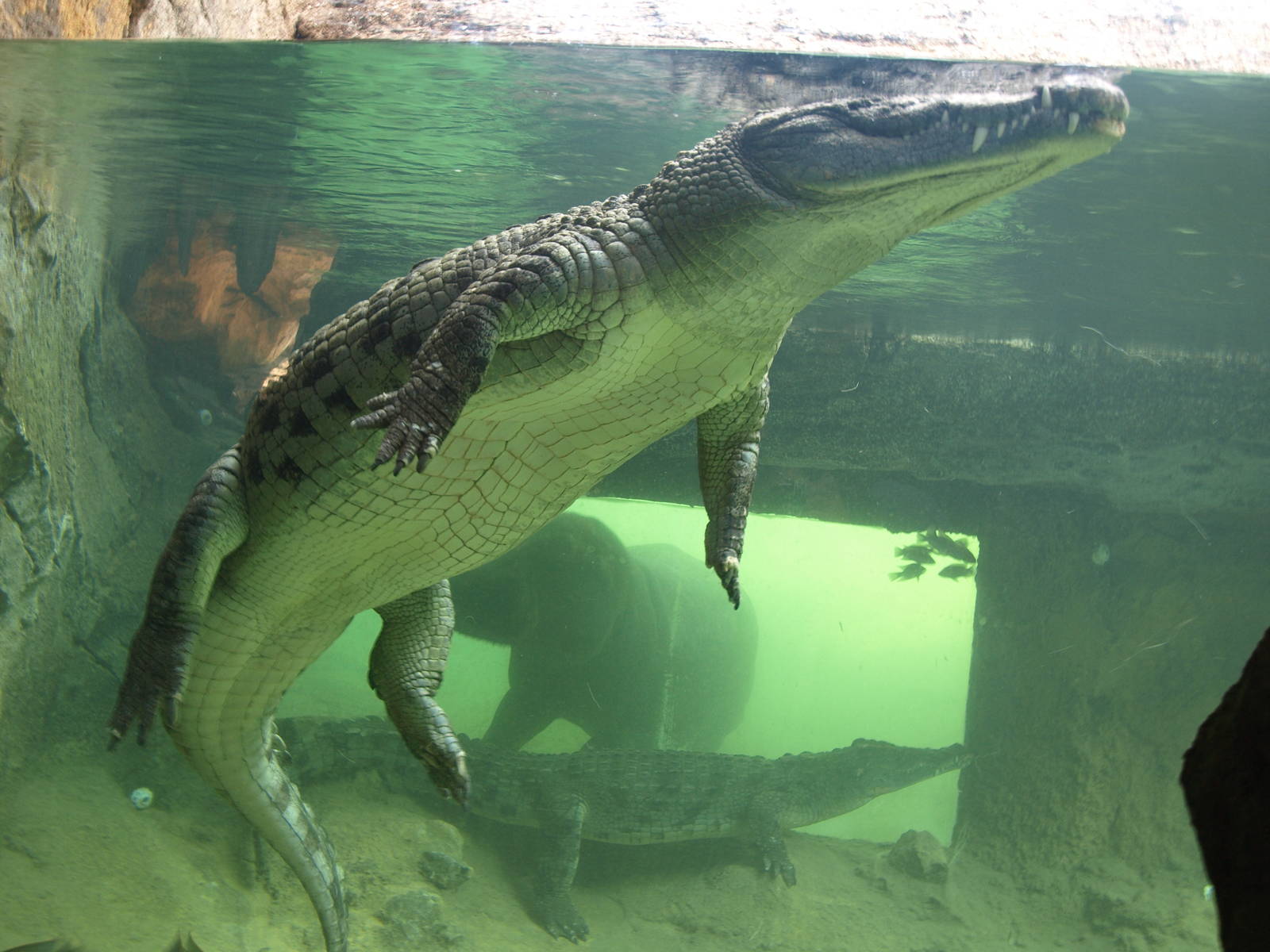 Kitum cave pre-opening