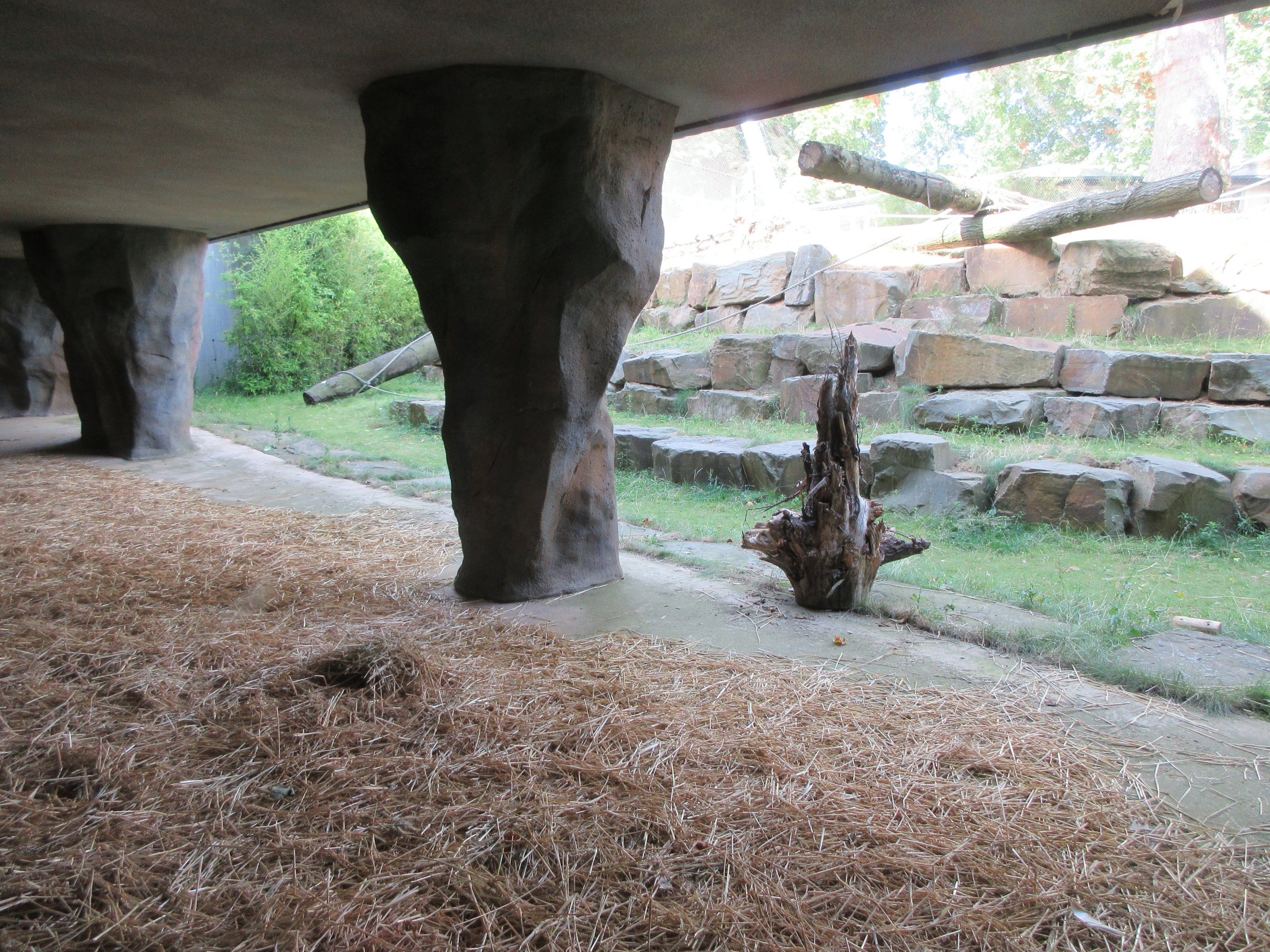 Kitum Cave - Valley of the Great Apes