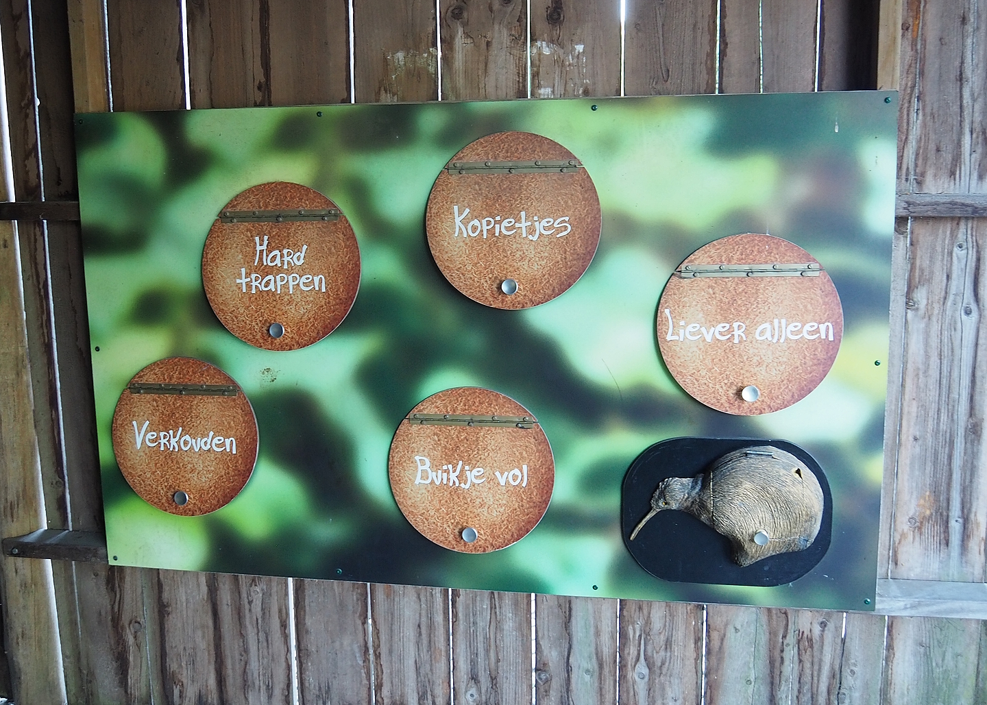 Kiwi educational signage, 2022-08-28