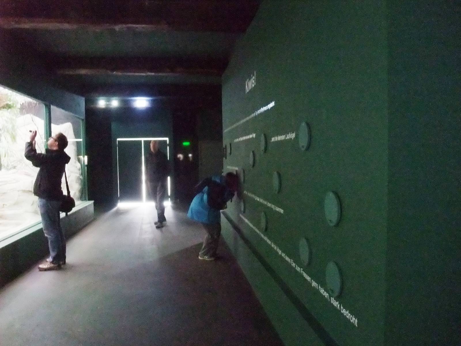 Kiwi Enclosure at Walsrode, 22/03/13