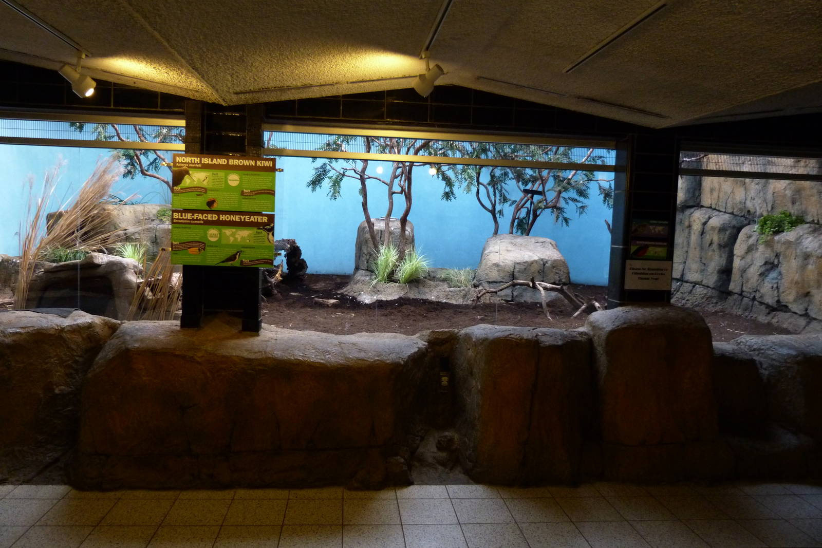 Kiwi Exhibit (on left)