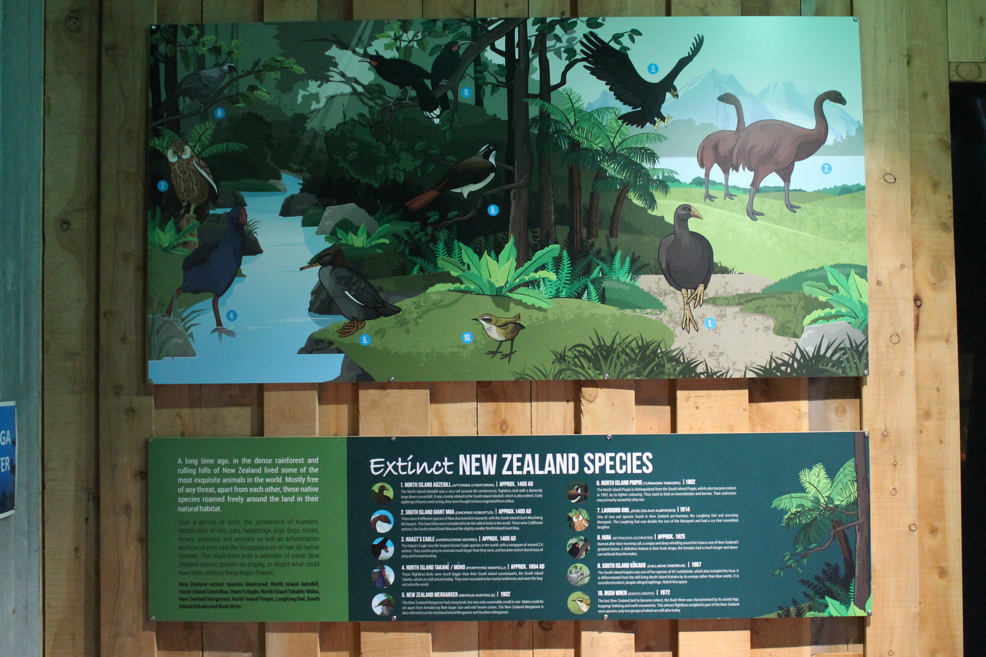 Kiwi House - extinct NZ bird signage