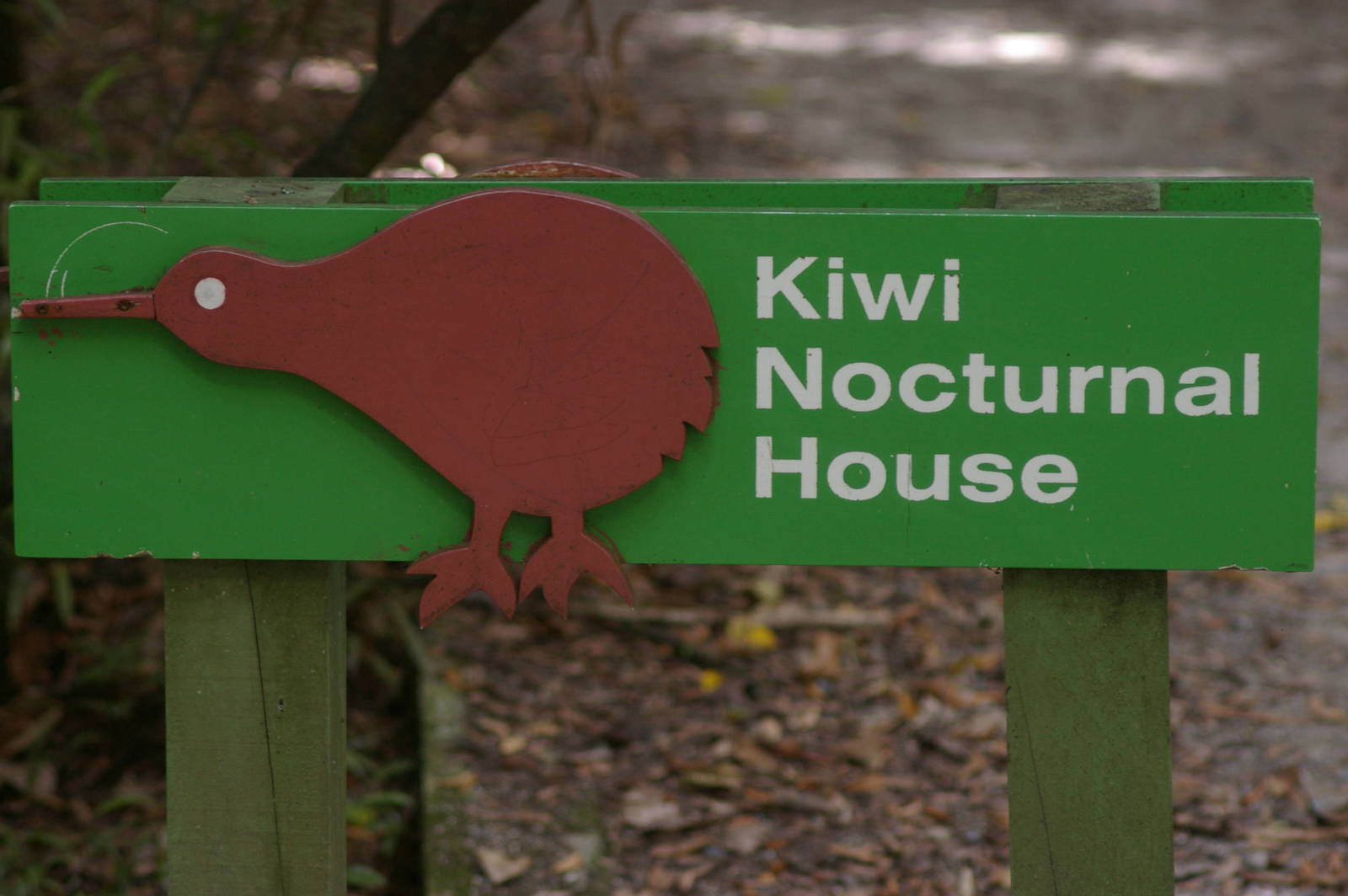 Kiwi House sign, Mt. Bruce