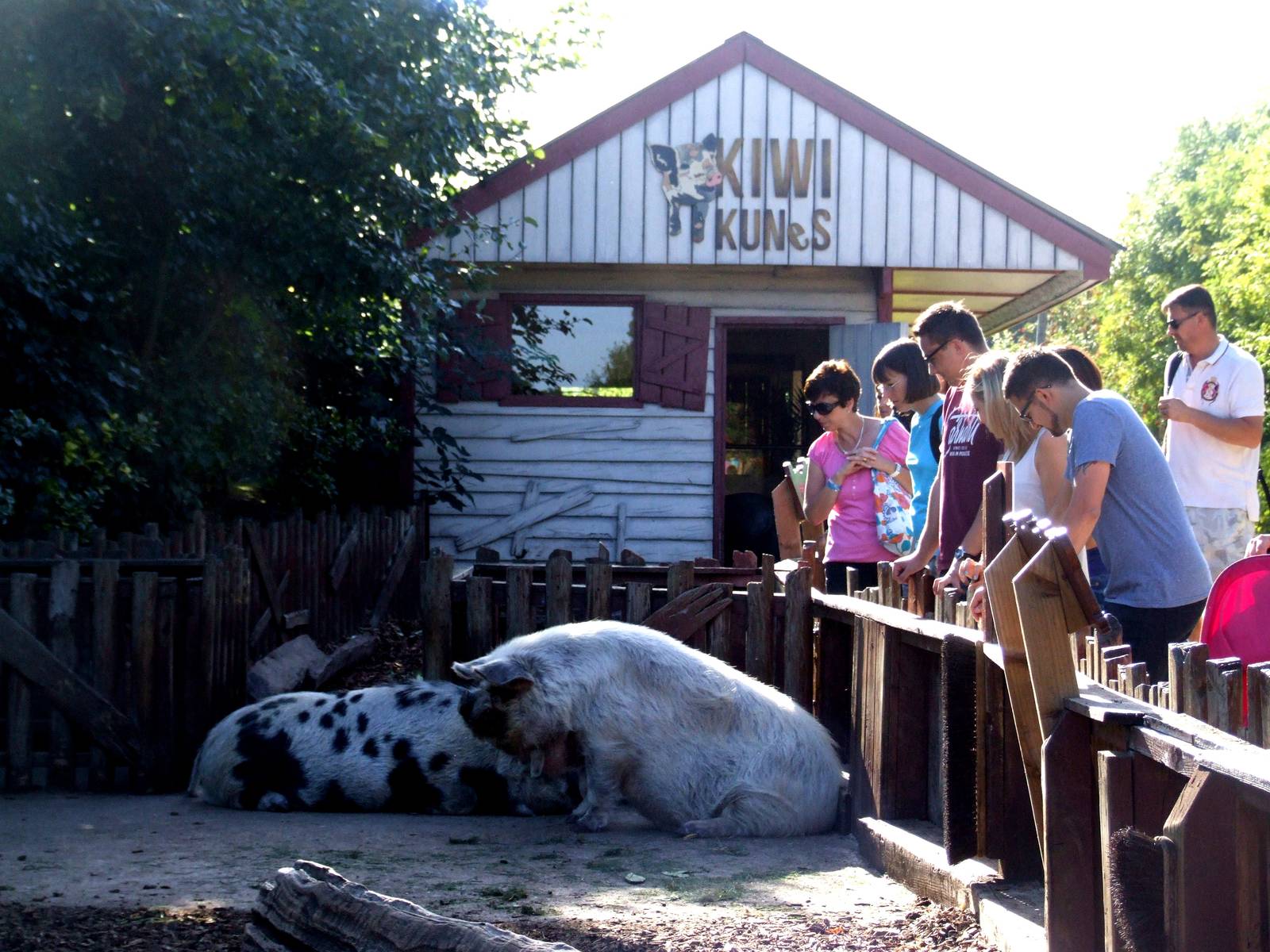 Kiwi Kunes at Colchester, 31/08/13
