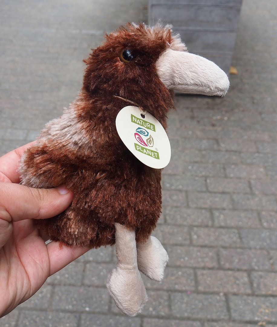 Kiwi plush, 2022-08-28