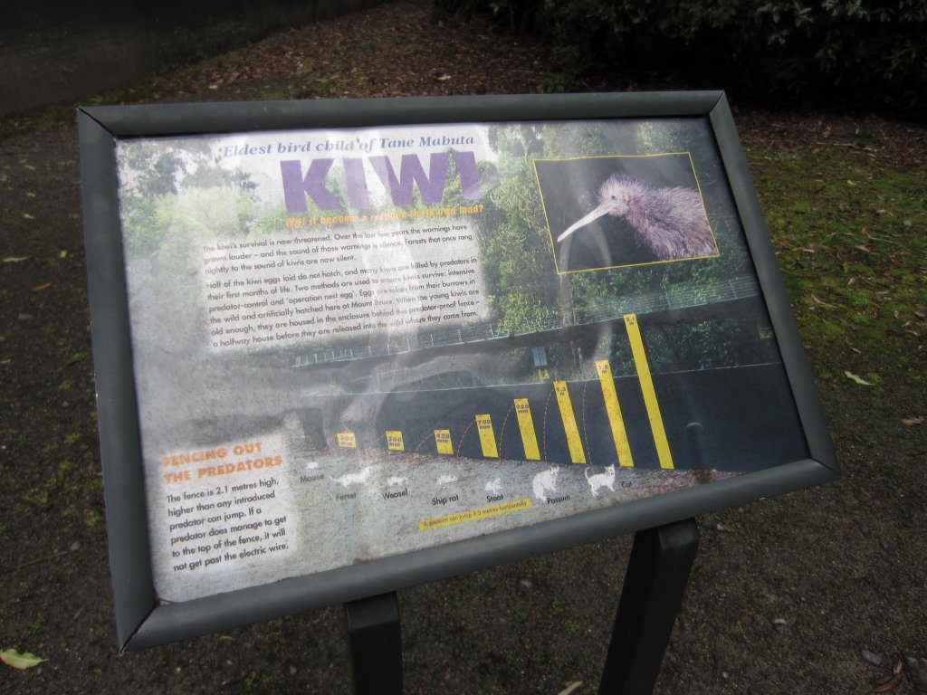 Kiwi pre-release enclosure fence details