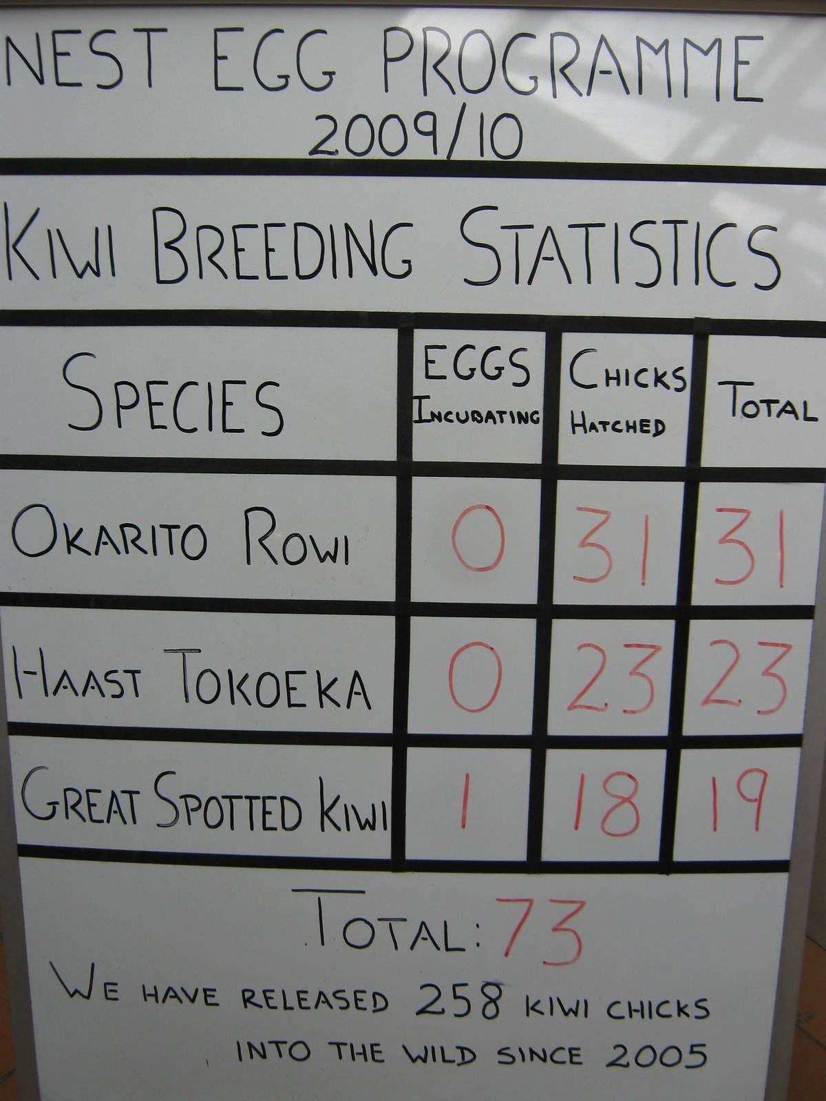 kiwi production sign