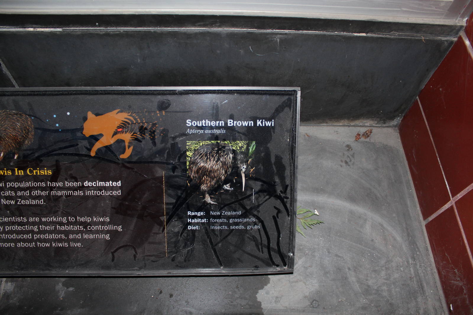 Kiwi Sign - Apr 2014