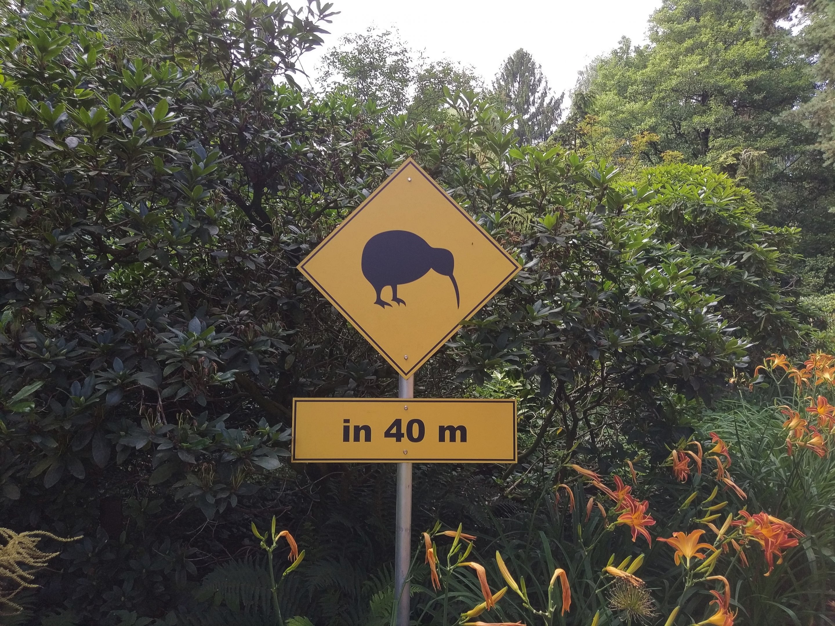 Kiwi Signage