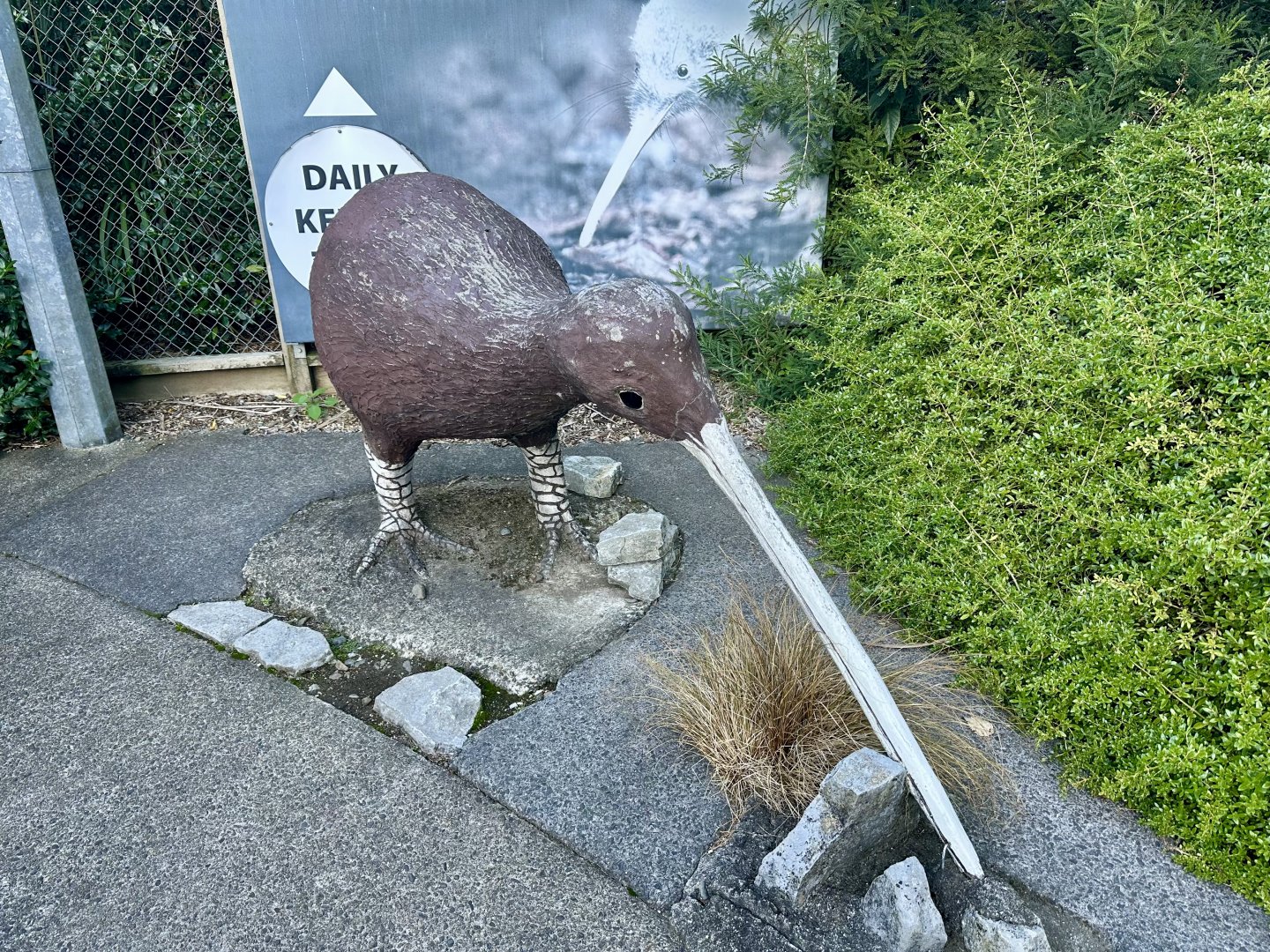 Kiwi Statue