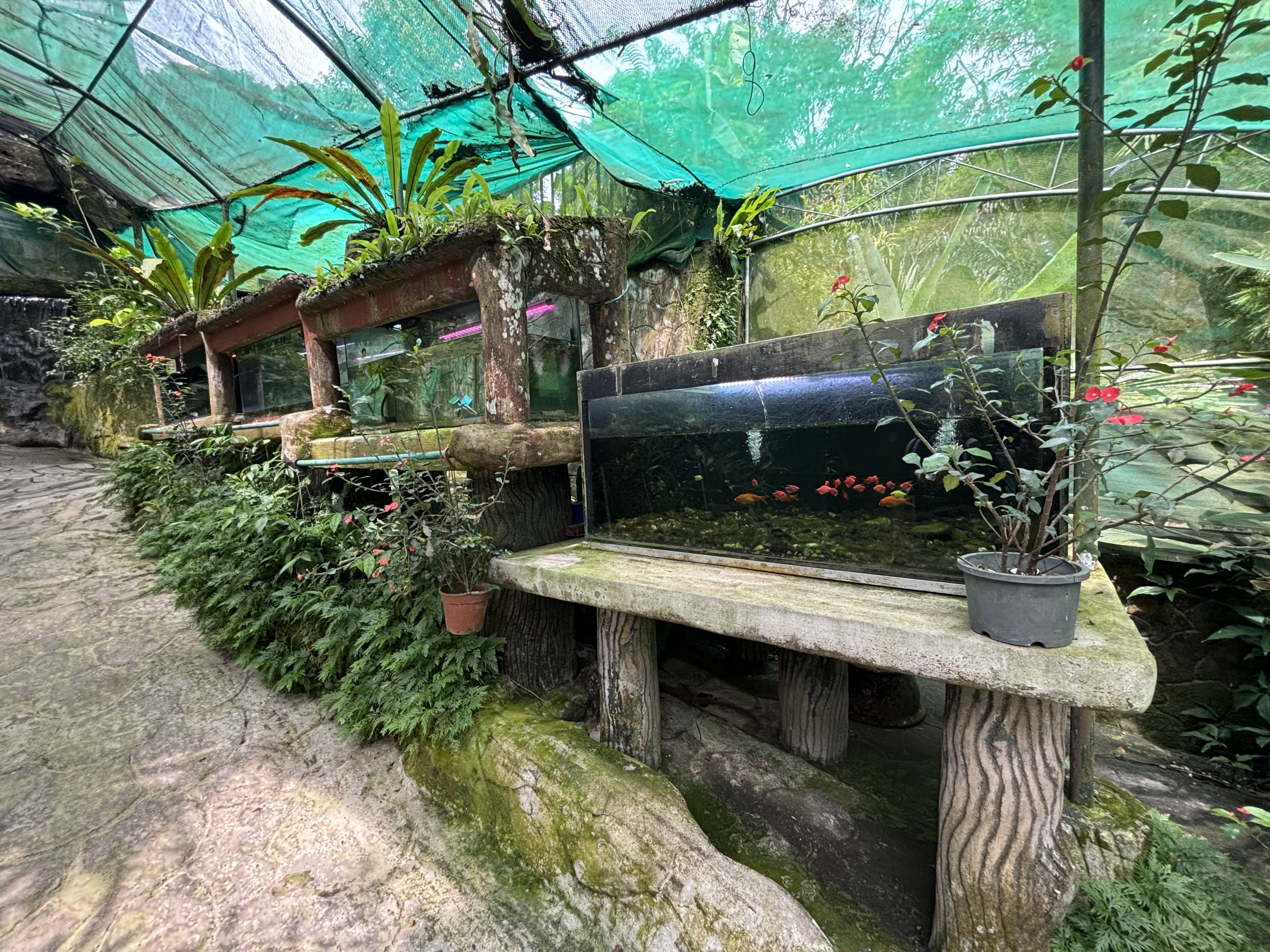 KL Butterfly Park - fish tanks