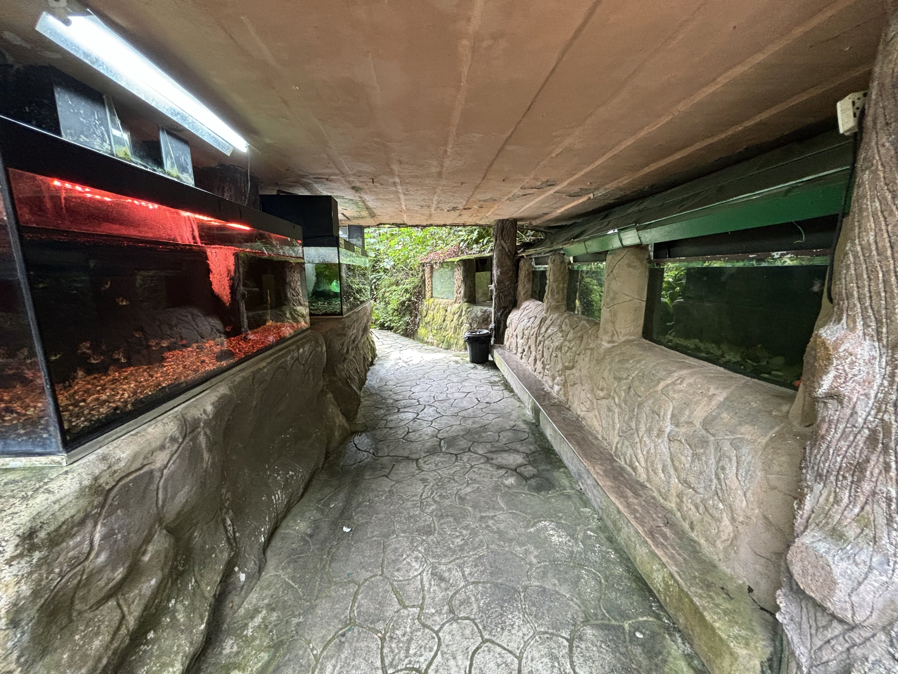 KL Butterfly Park - fish tanks