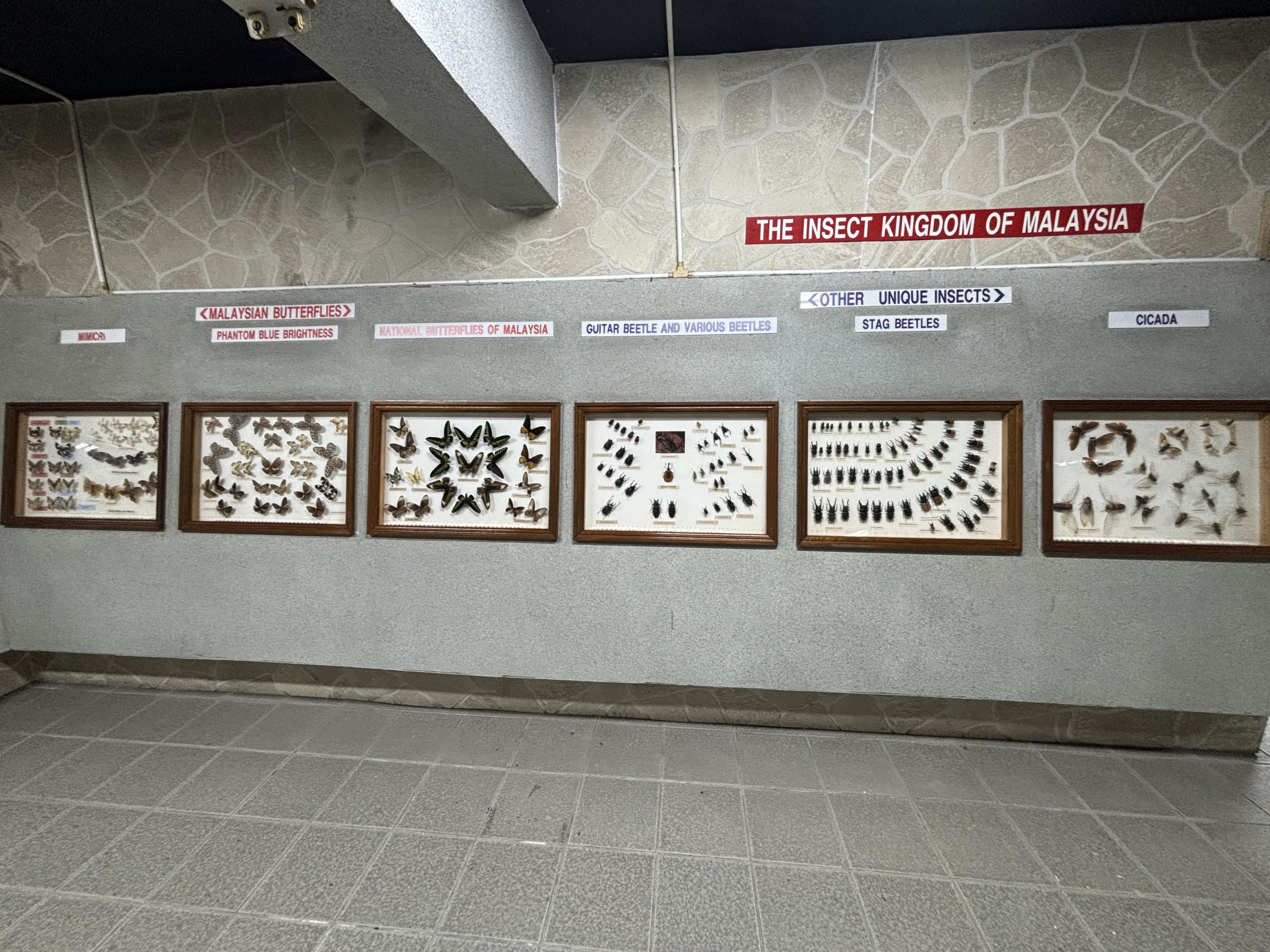 KL Butterfly Park - insect museum