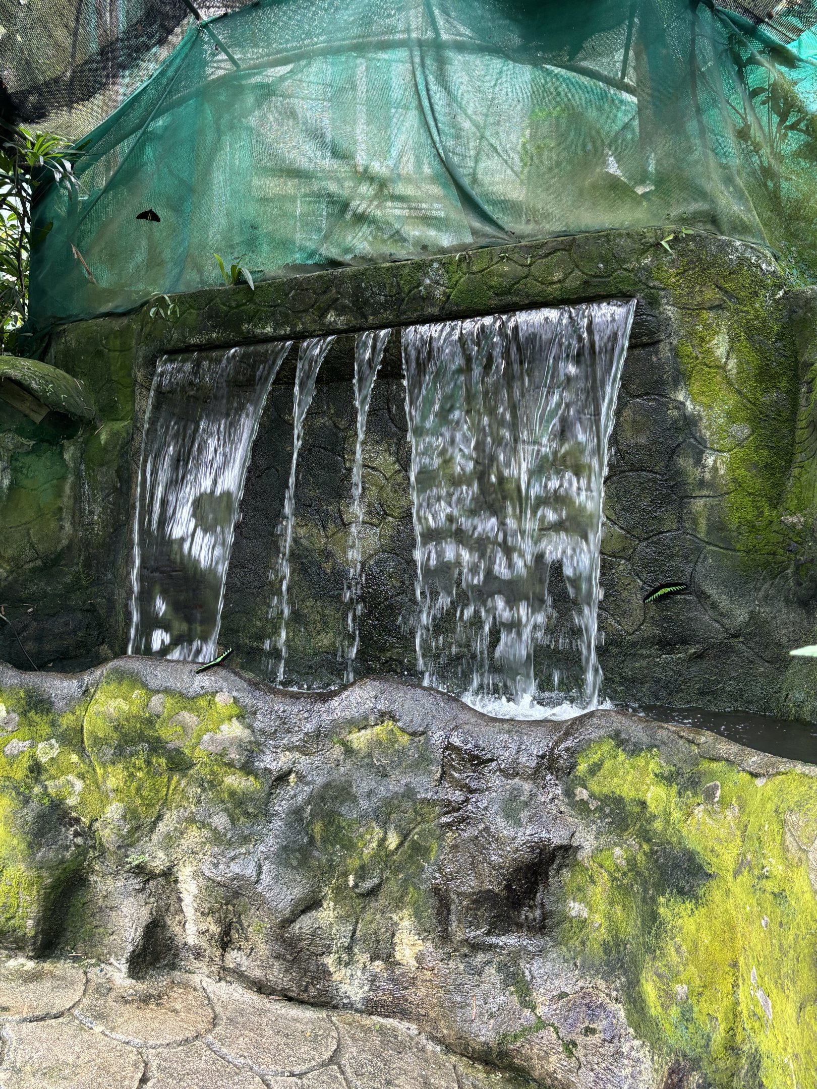 KL Butterfly Park - waterfall