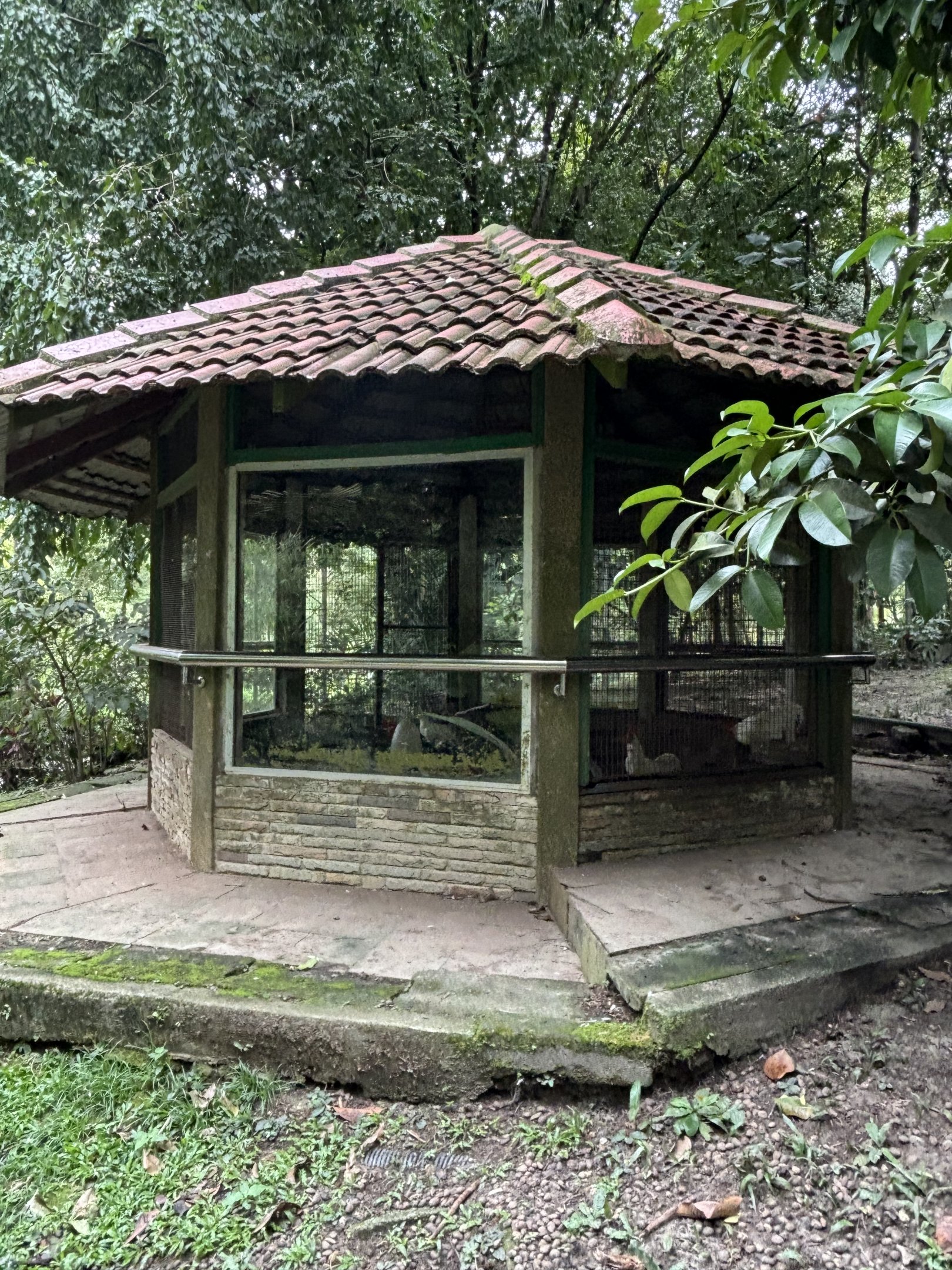 KL Deer Park - aviary