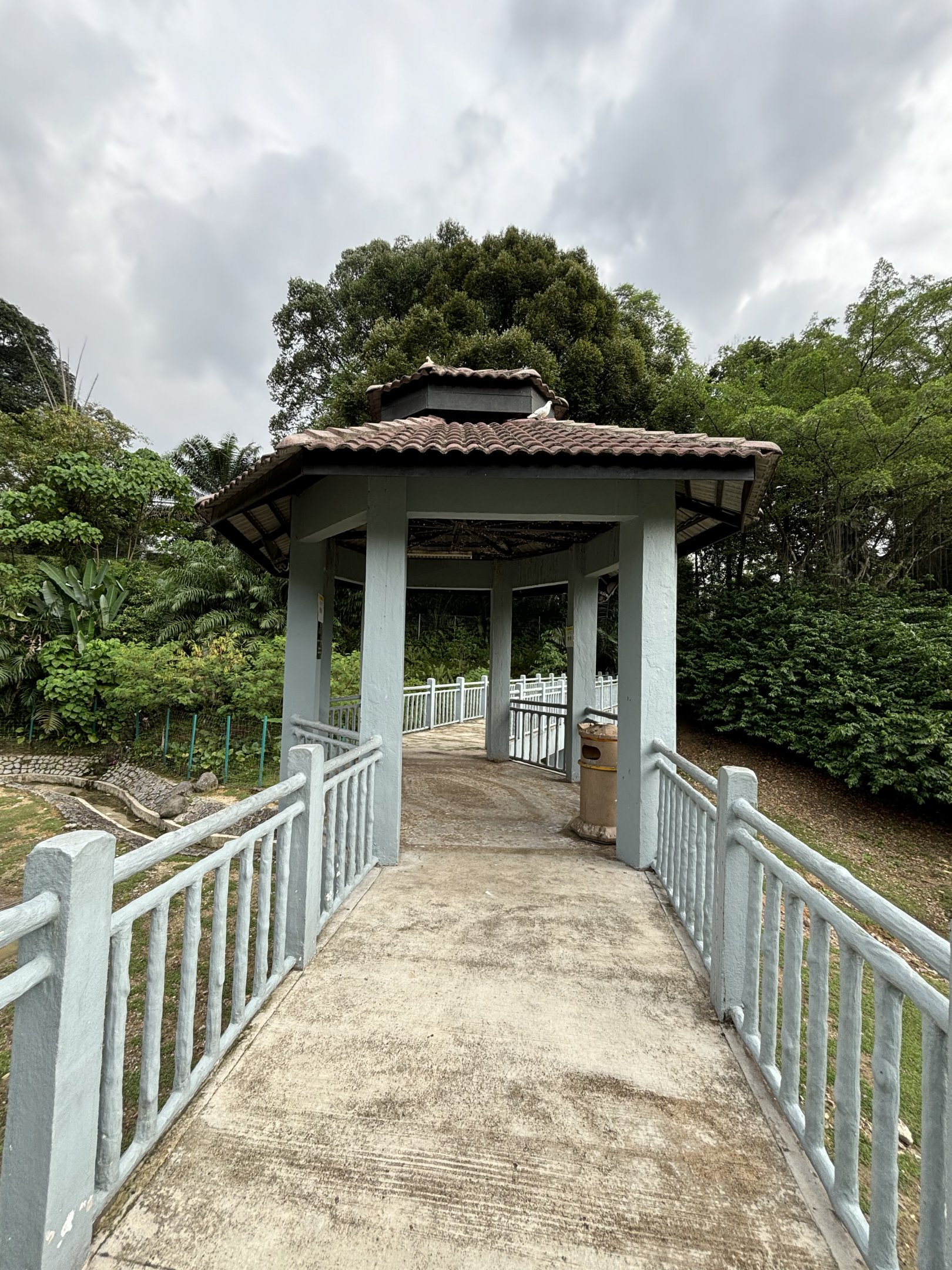 KL Deer Park - visitor overlook