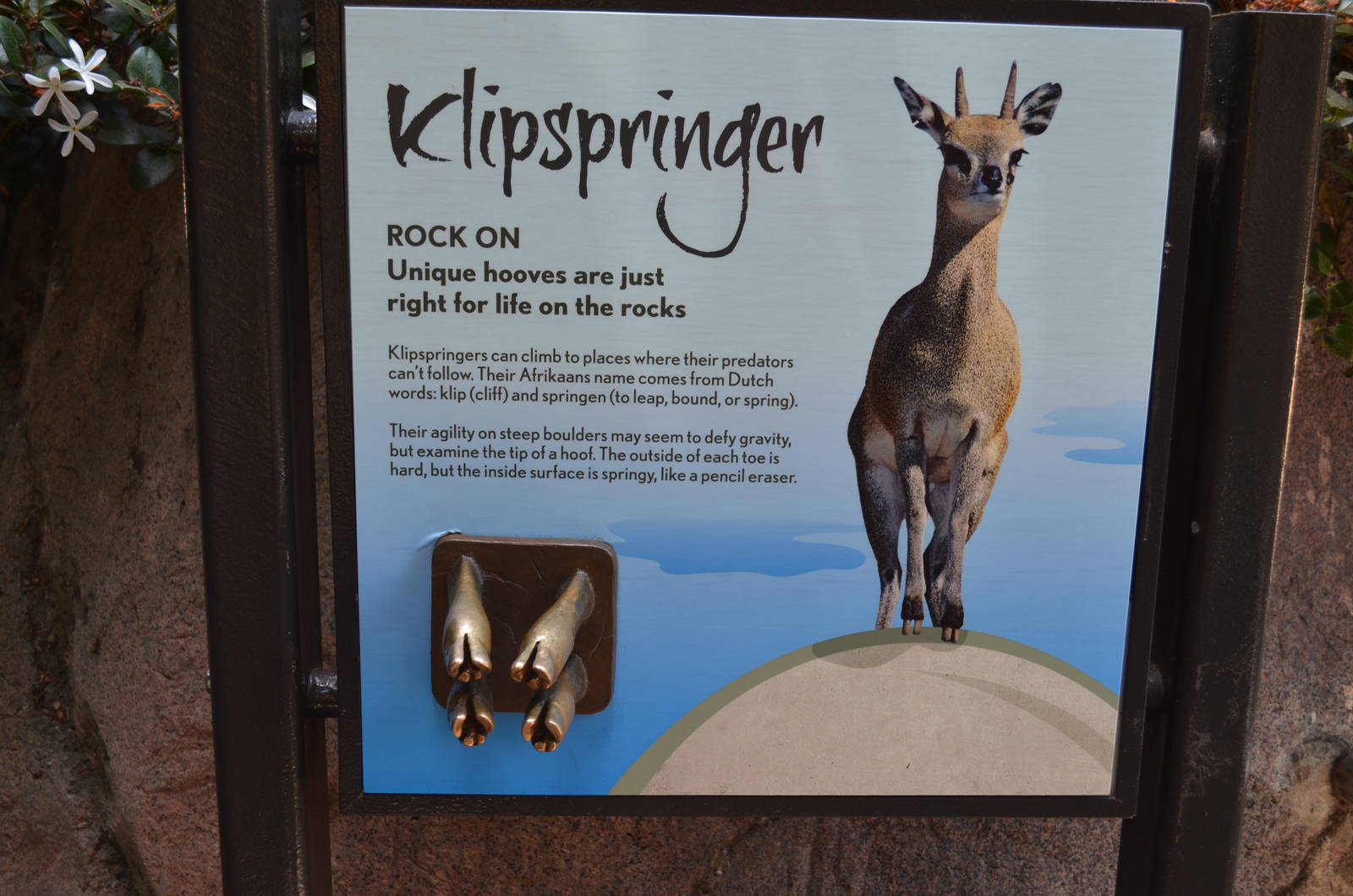Klipspringer Signage