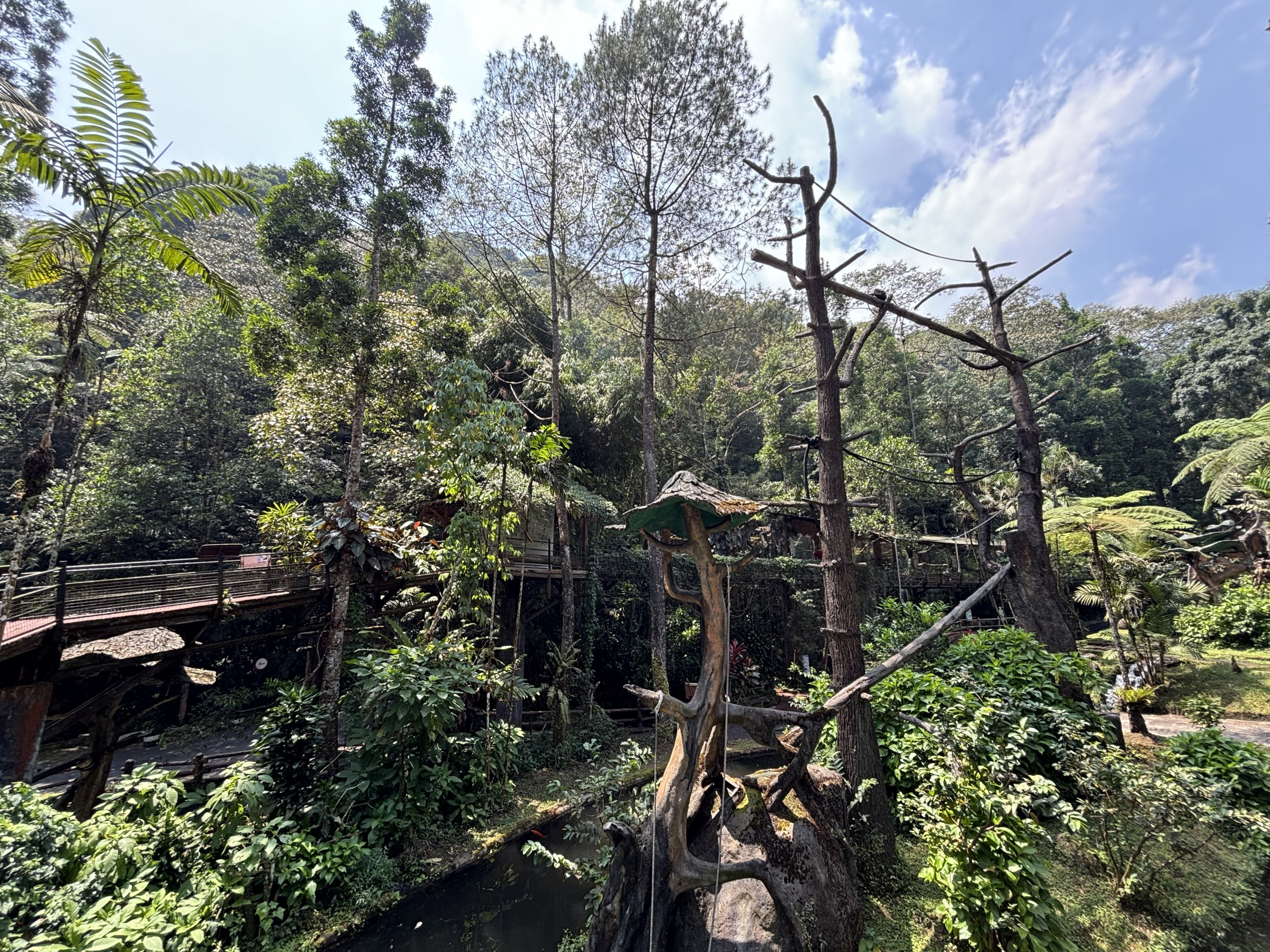 Kloss’s Gibbon Exhibit