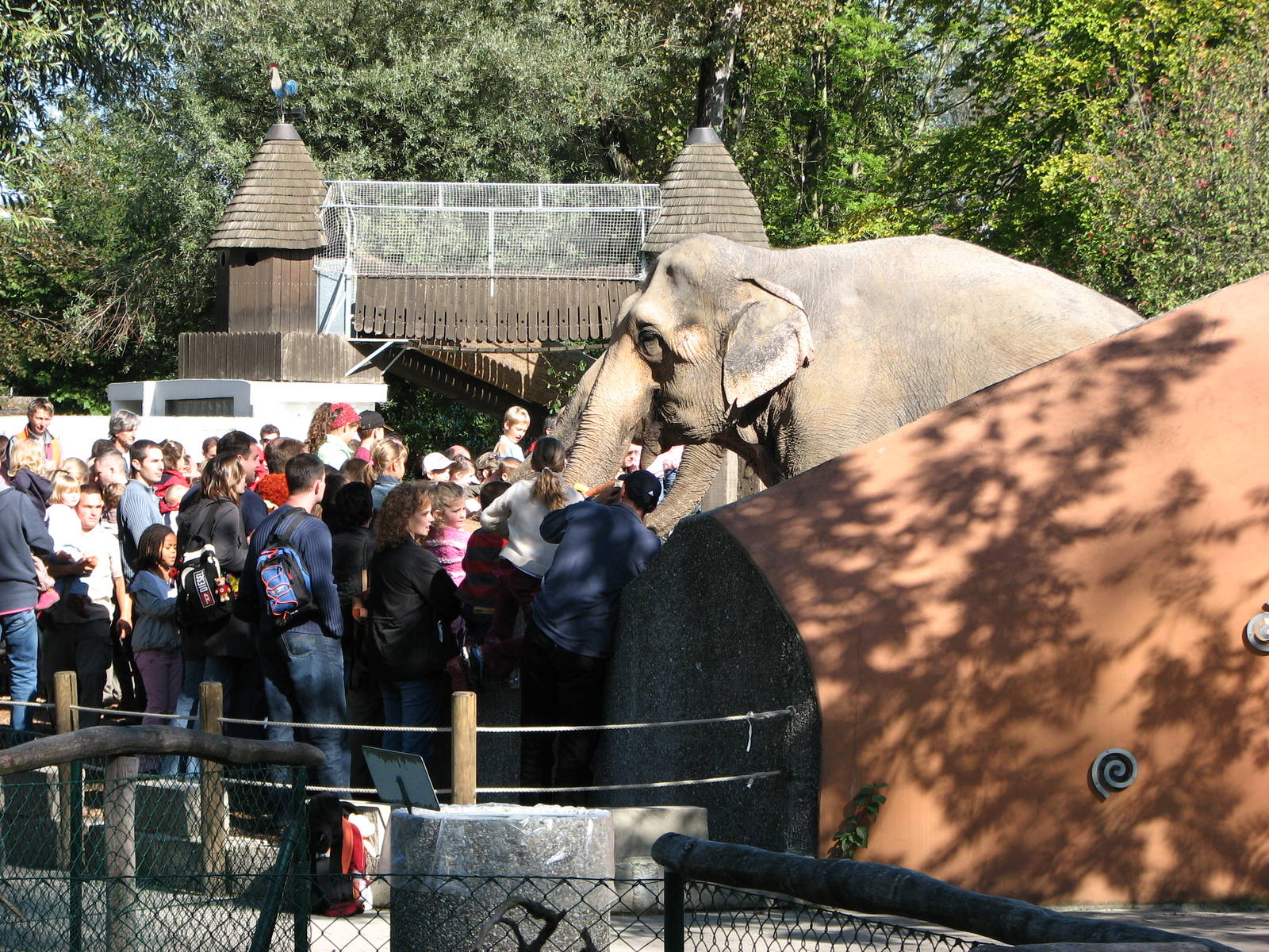 Knie Kinderzoo 2006 - Crowd in front of the Elephants