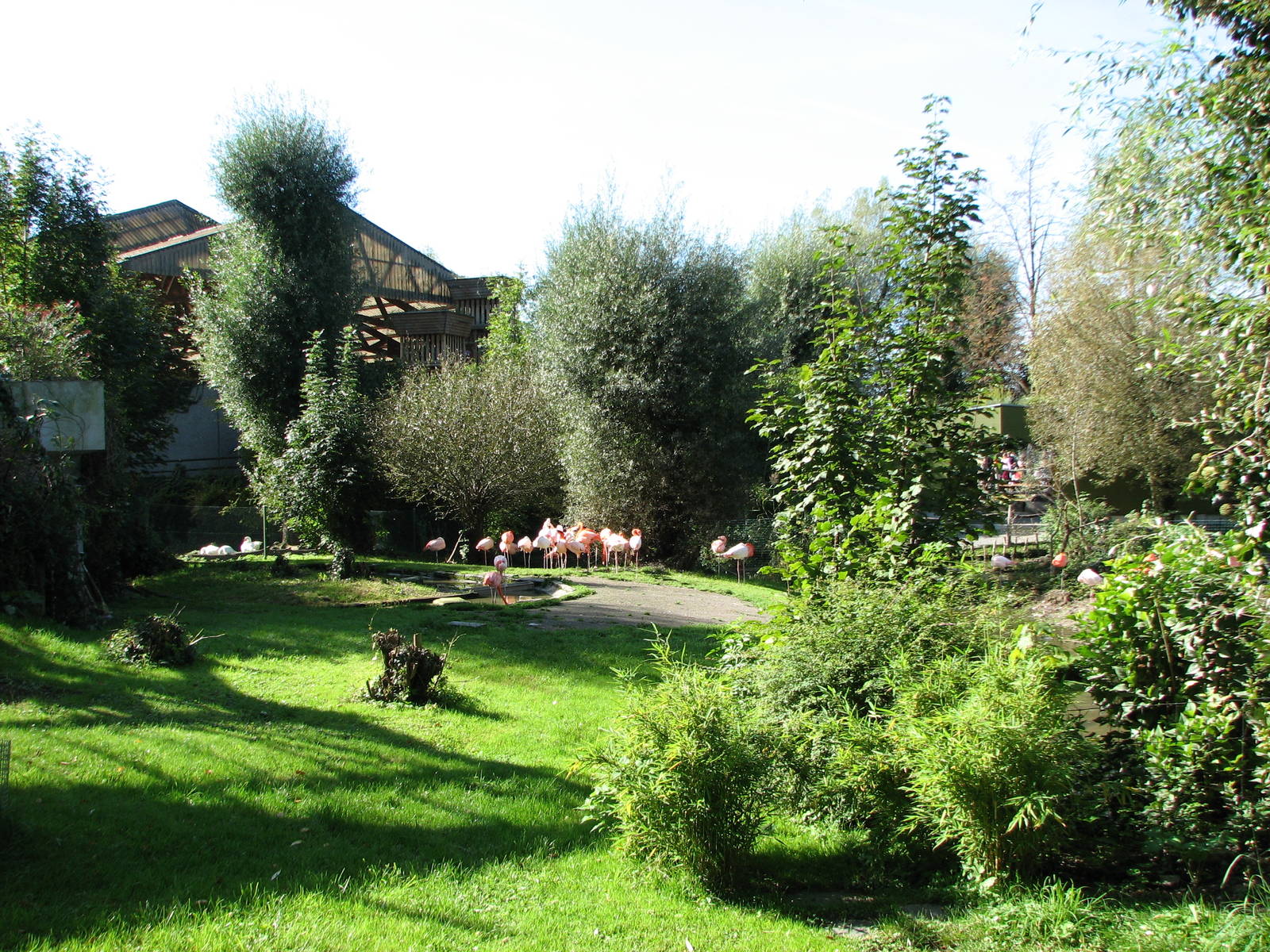 Knie Kinderzoo 2006 - Flamingo exhibit