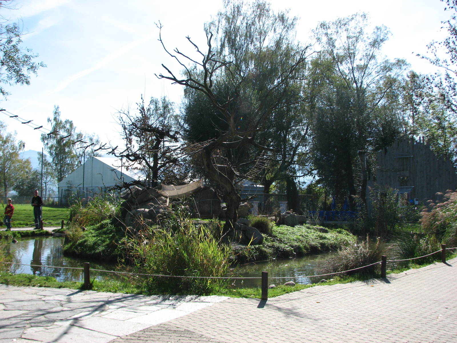 Knie Kinderzoo 2006 - Lemur island