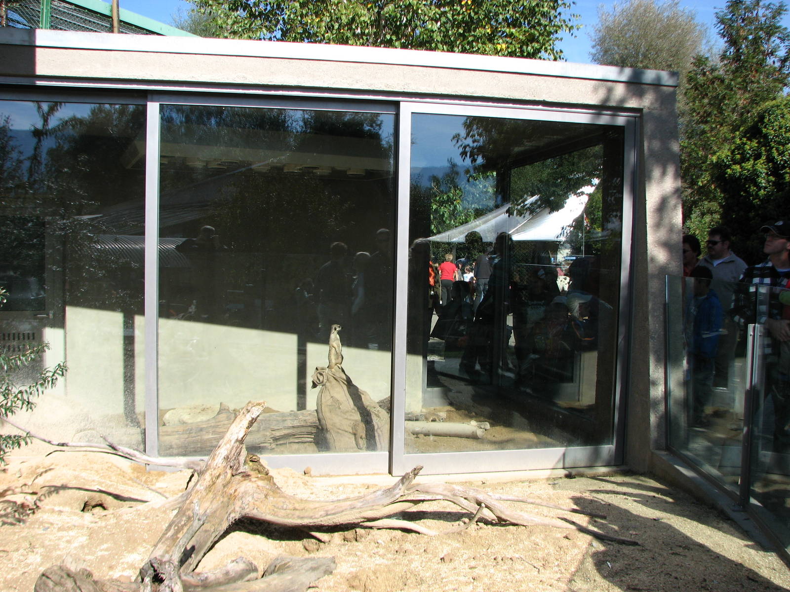 Knie Kinderzoo 2006 - Meerkat exhibit