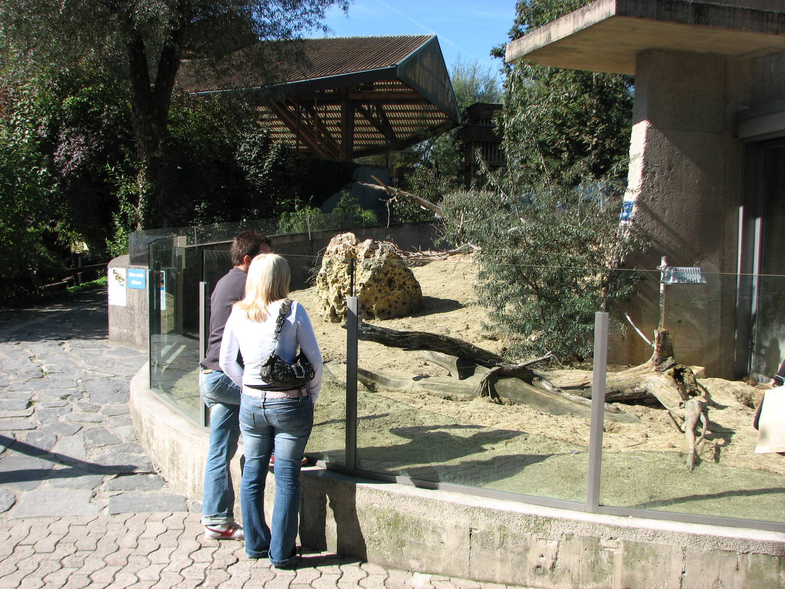 Knie Kinderzoo 2006 - Meerkat exhibit