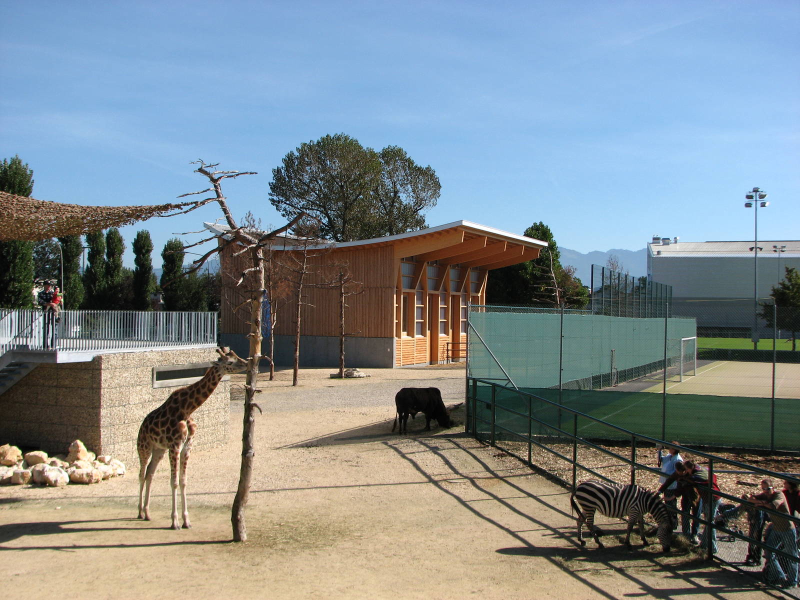 Knie Kinderzoo 2006 - Mixed ungulate enclosure