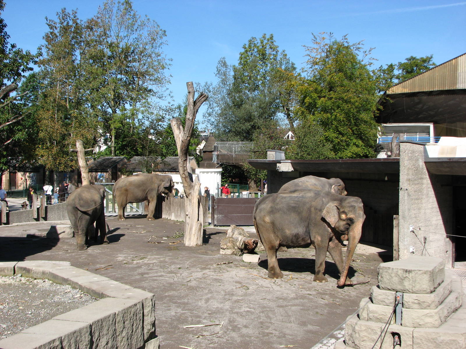 Knie Kinderzoo 2006 - Part of the Asiatic Elephant exhibit
