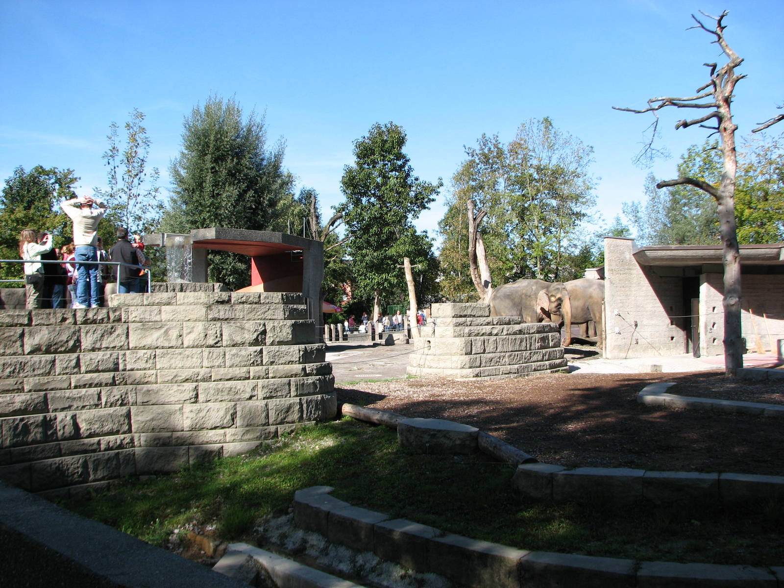 Knie Kinderzoo 2006 - Part of the Asiatic Elephant exhibit