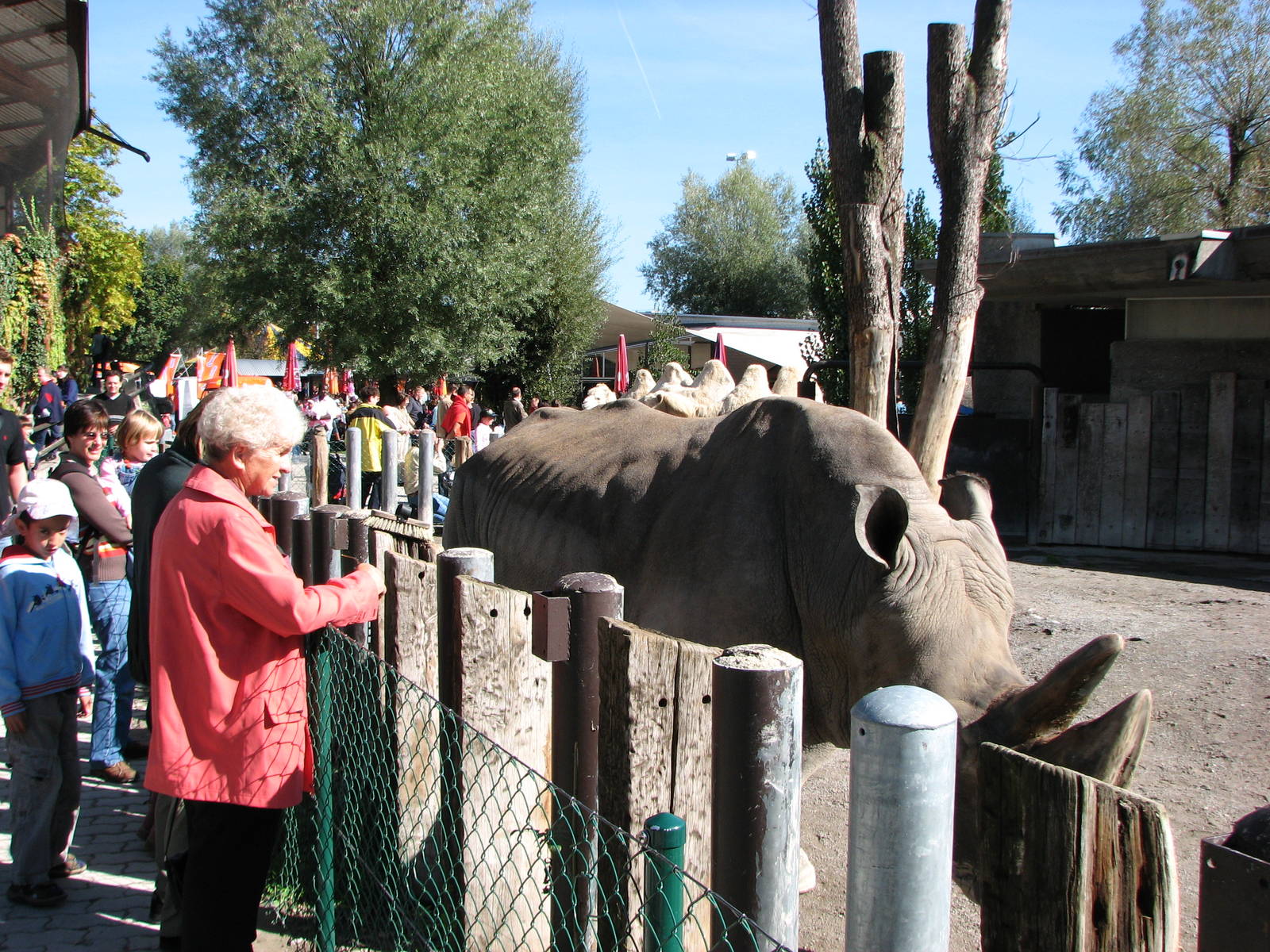 Knie Kinderzoo 2006 - Retired circus rhinoceros