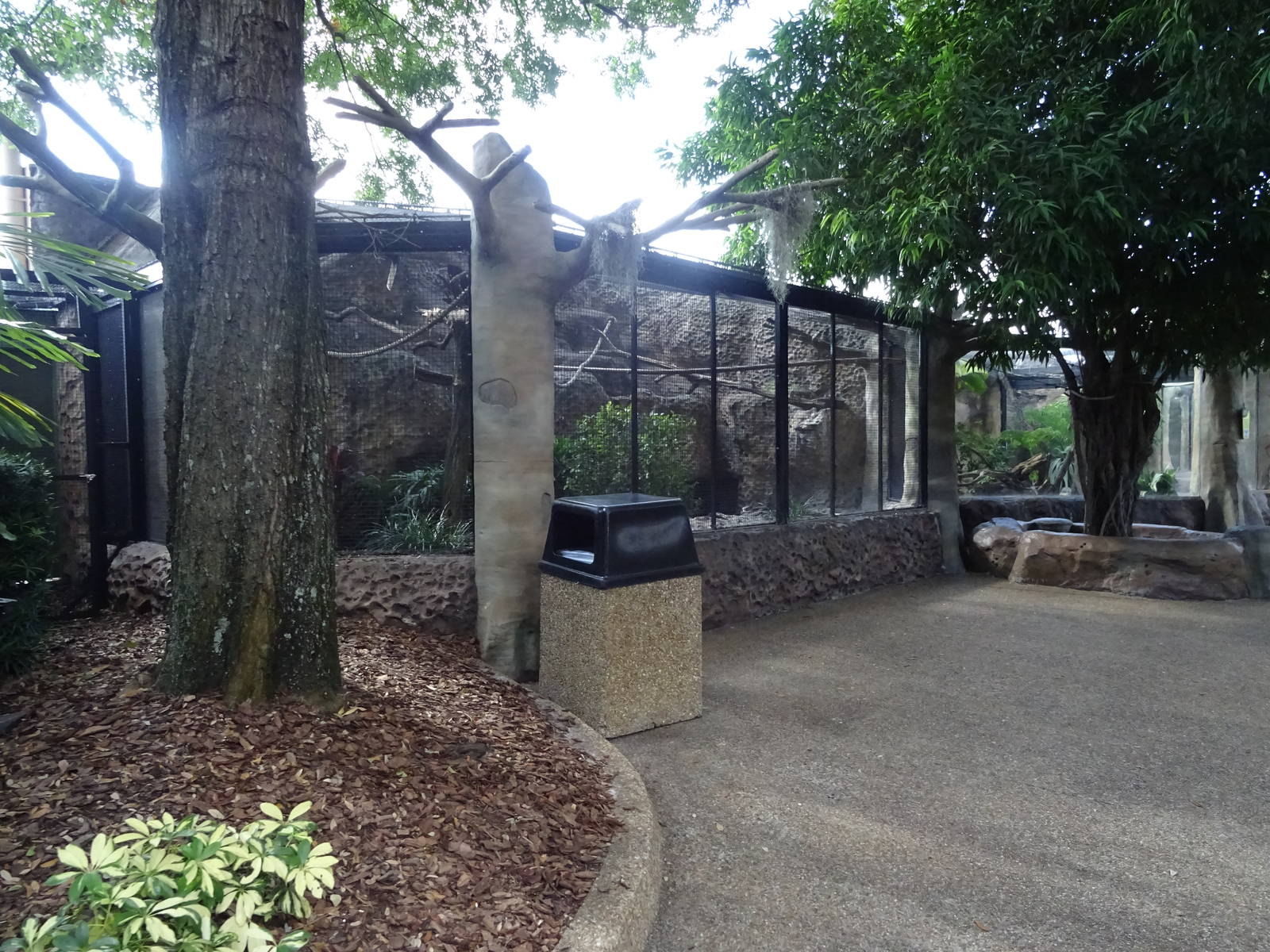 Knobbed Hornbill Aviary at Busch Gardens Tampa