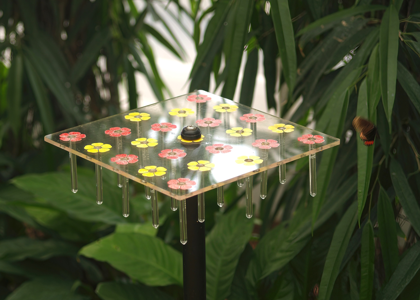 Knokke-Heist butterfly garden (Closed in 2010) - Nectar feeder, 2007-04-22