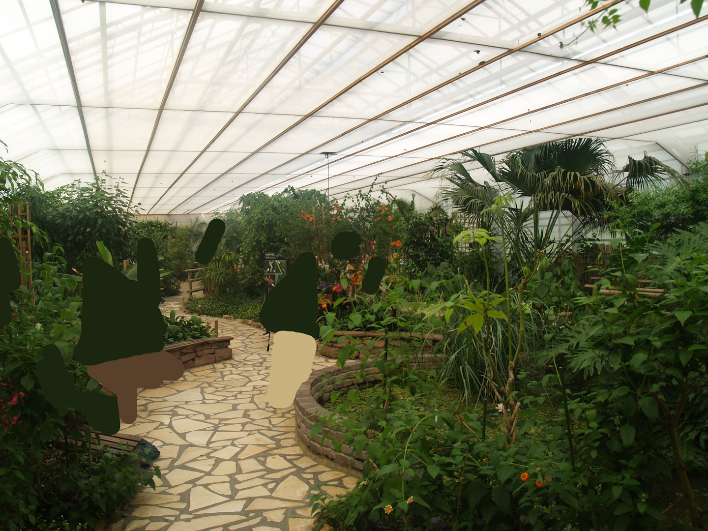 Knokke-Heist butterfly garden (Closed in 2010) - View in greenhouse, 2007-04-22