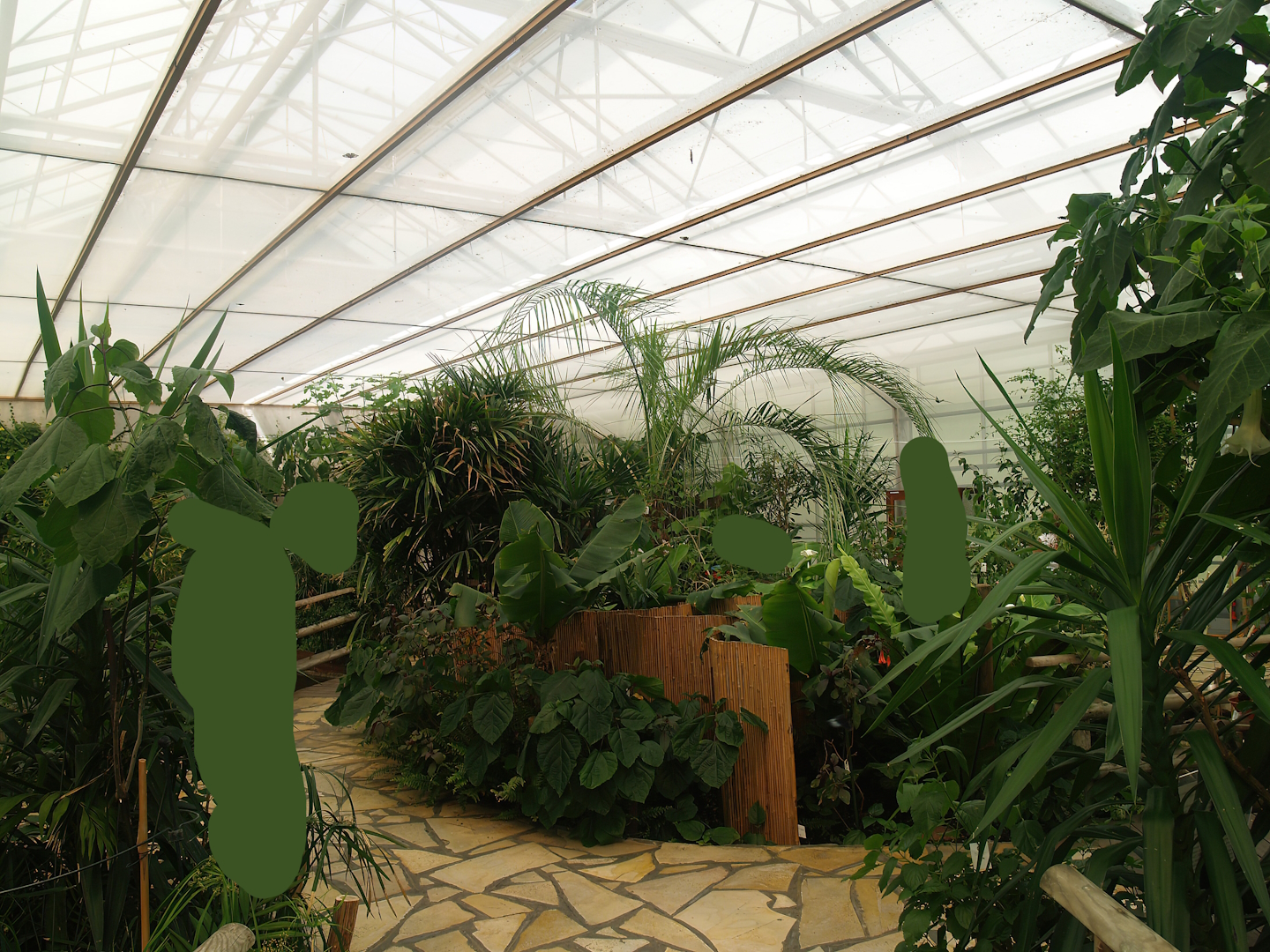 Knokke-Heist butterfly garden (Closed in 2010) - View in greenhouse, 2007-04-22